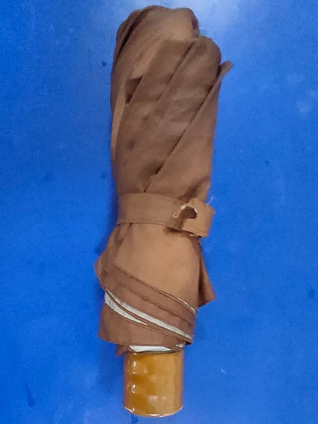 Swethasakthivel on wikimedia