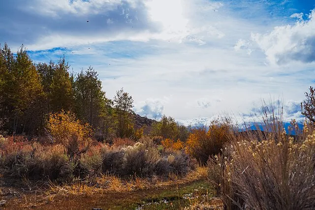 mypubliclands on Wikicommons
