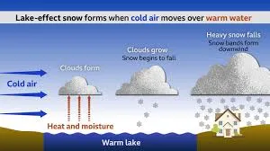 Image from BBC