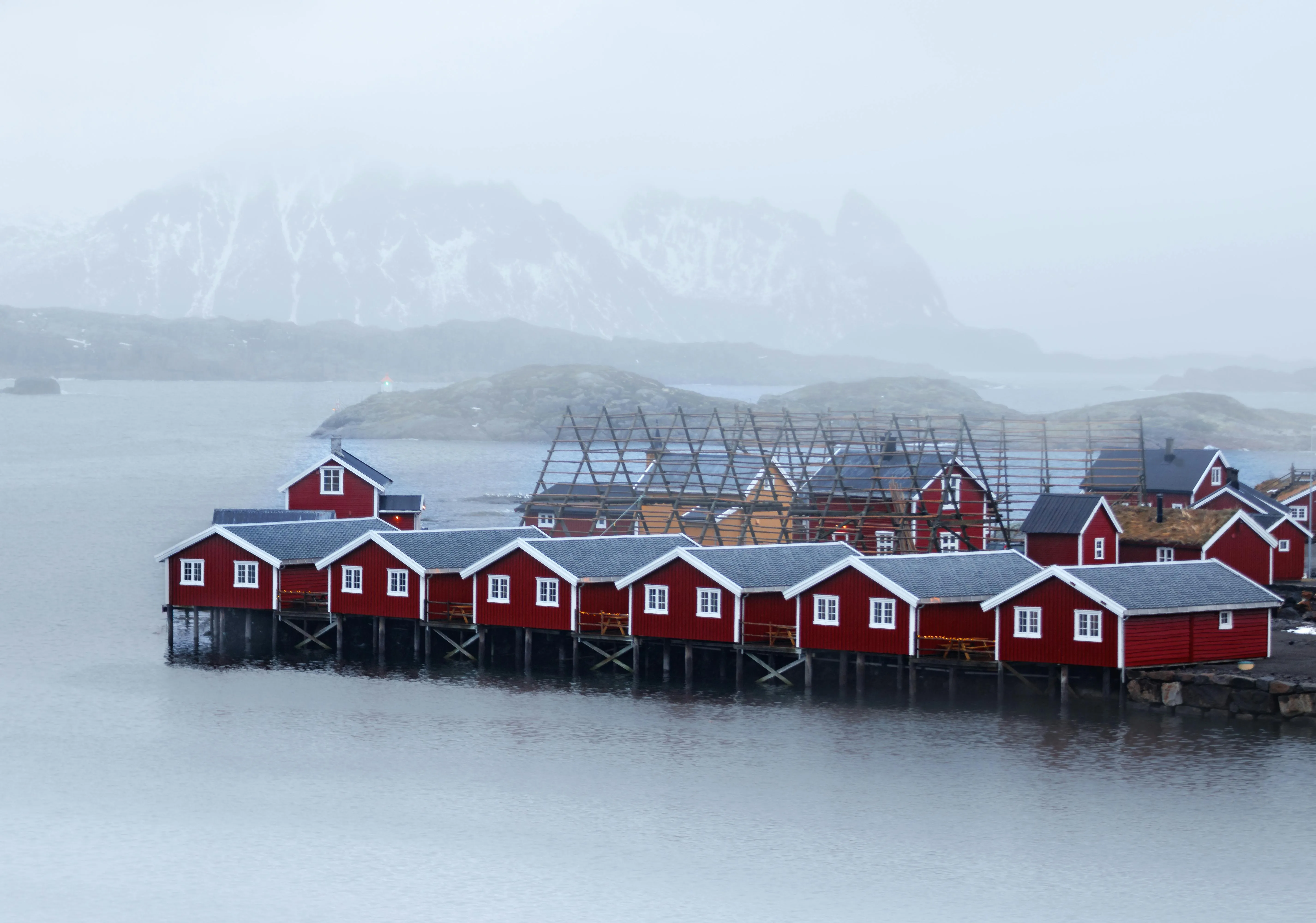 Andrea Gambirasio on pexels