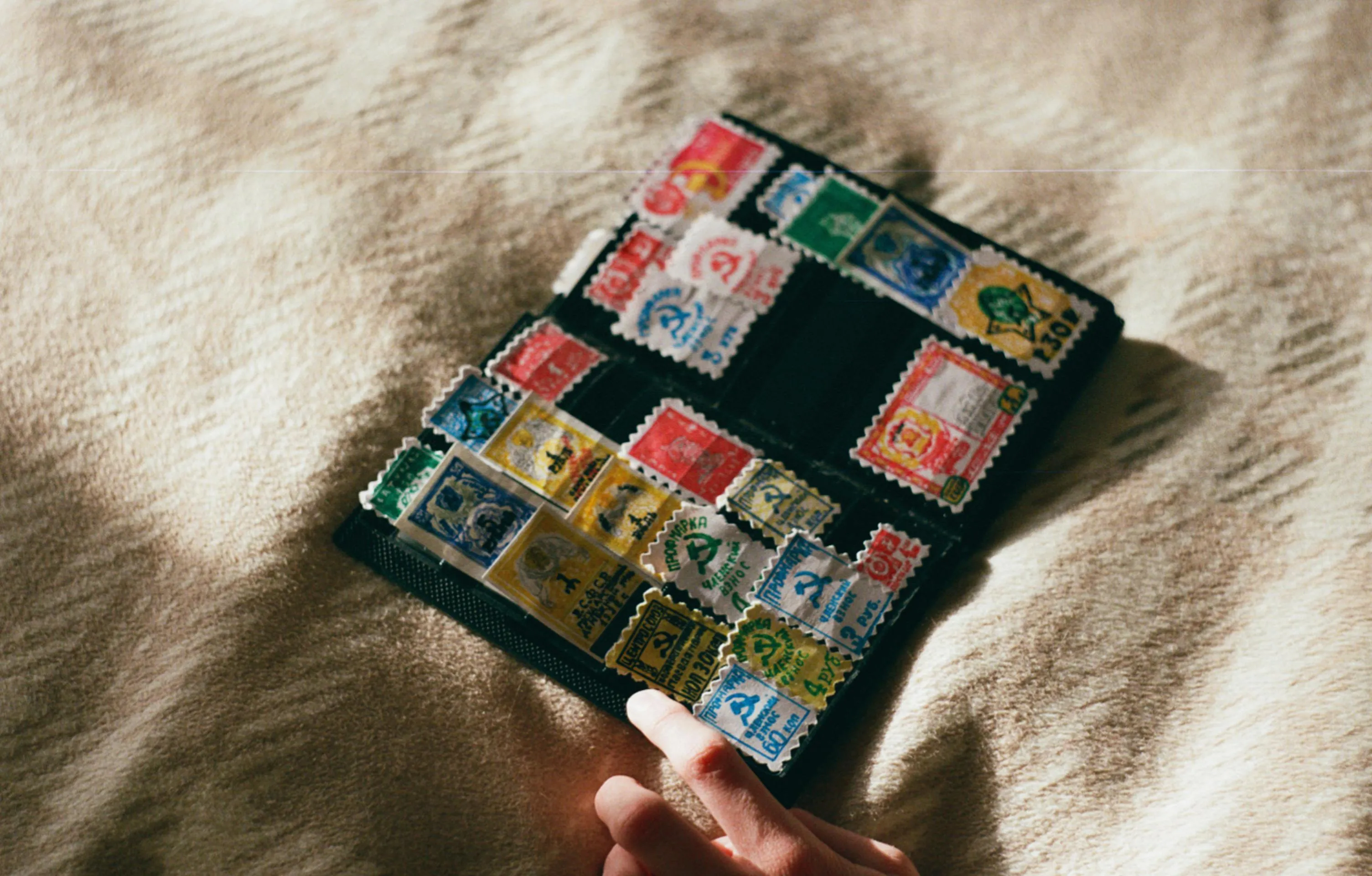 Maria Varshavskaya on Pexels