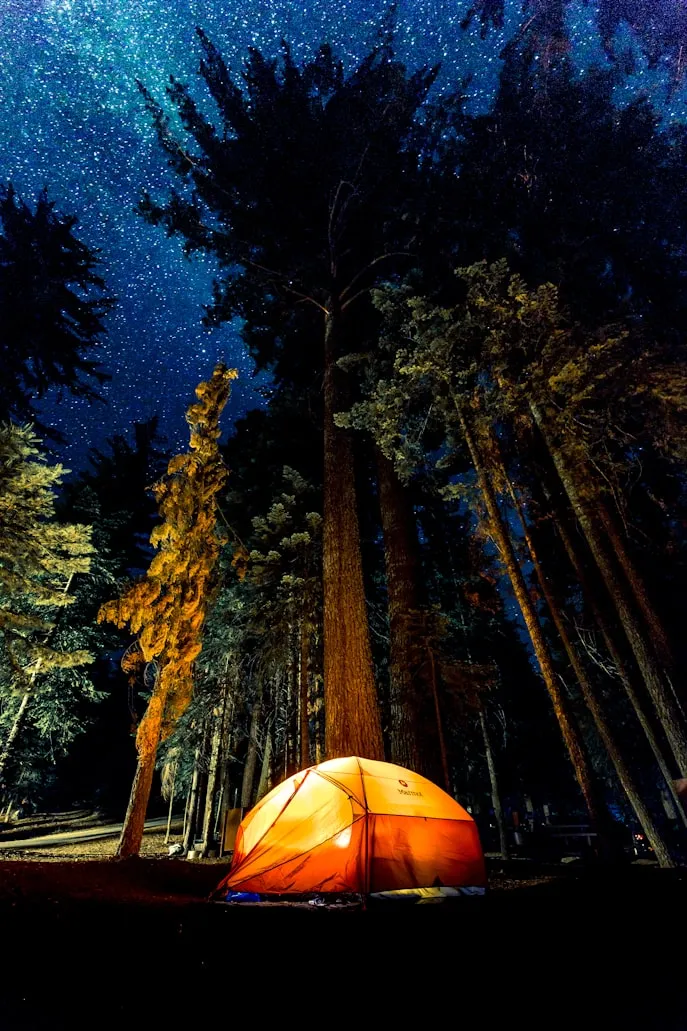 Denys Nevozhai from Unsplash