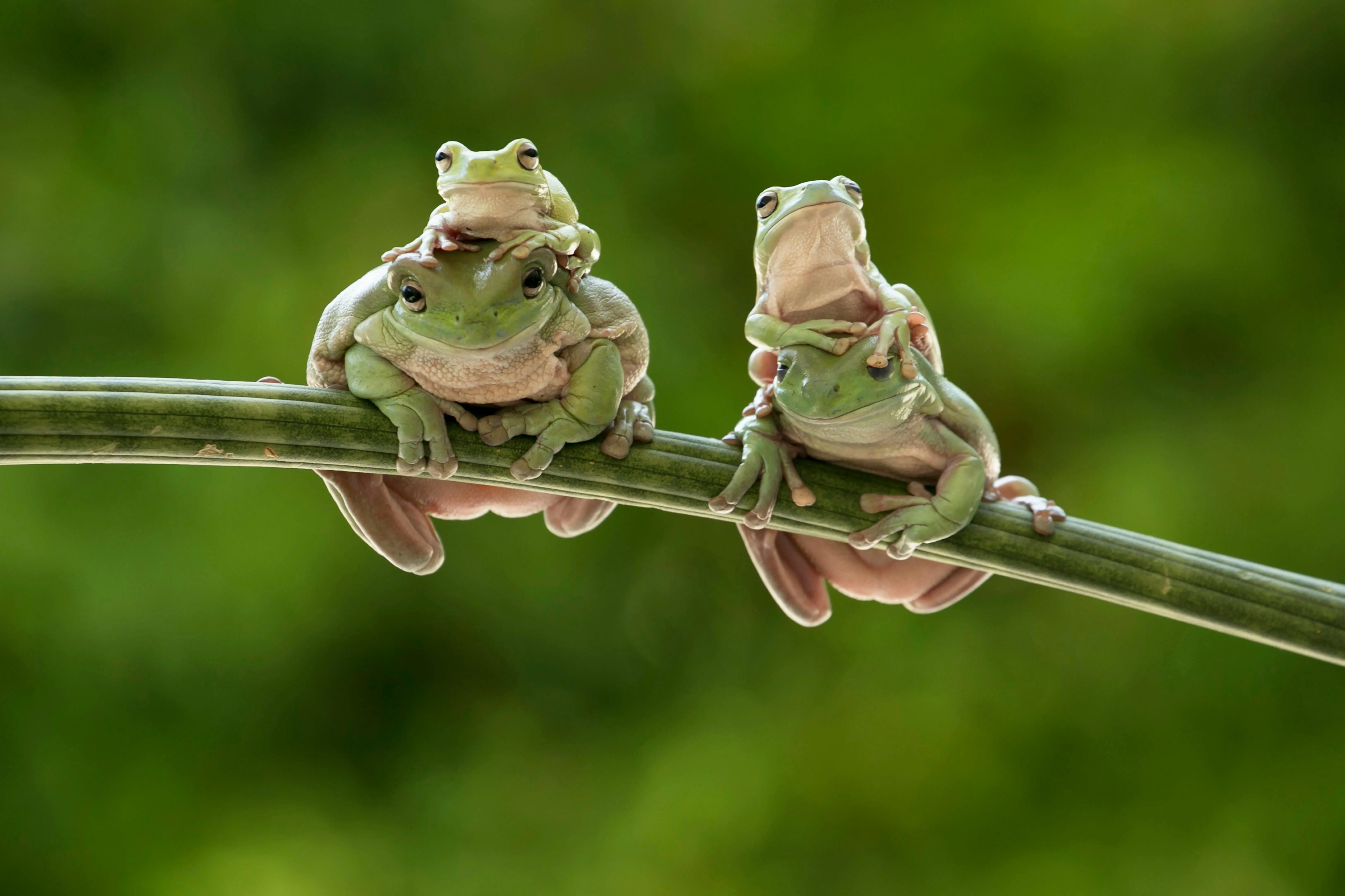 Jeffry Surianto on pexels