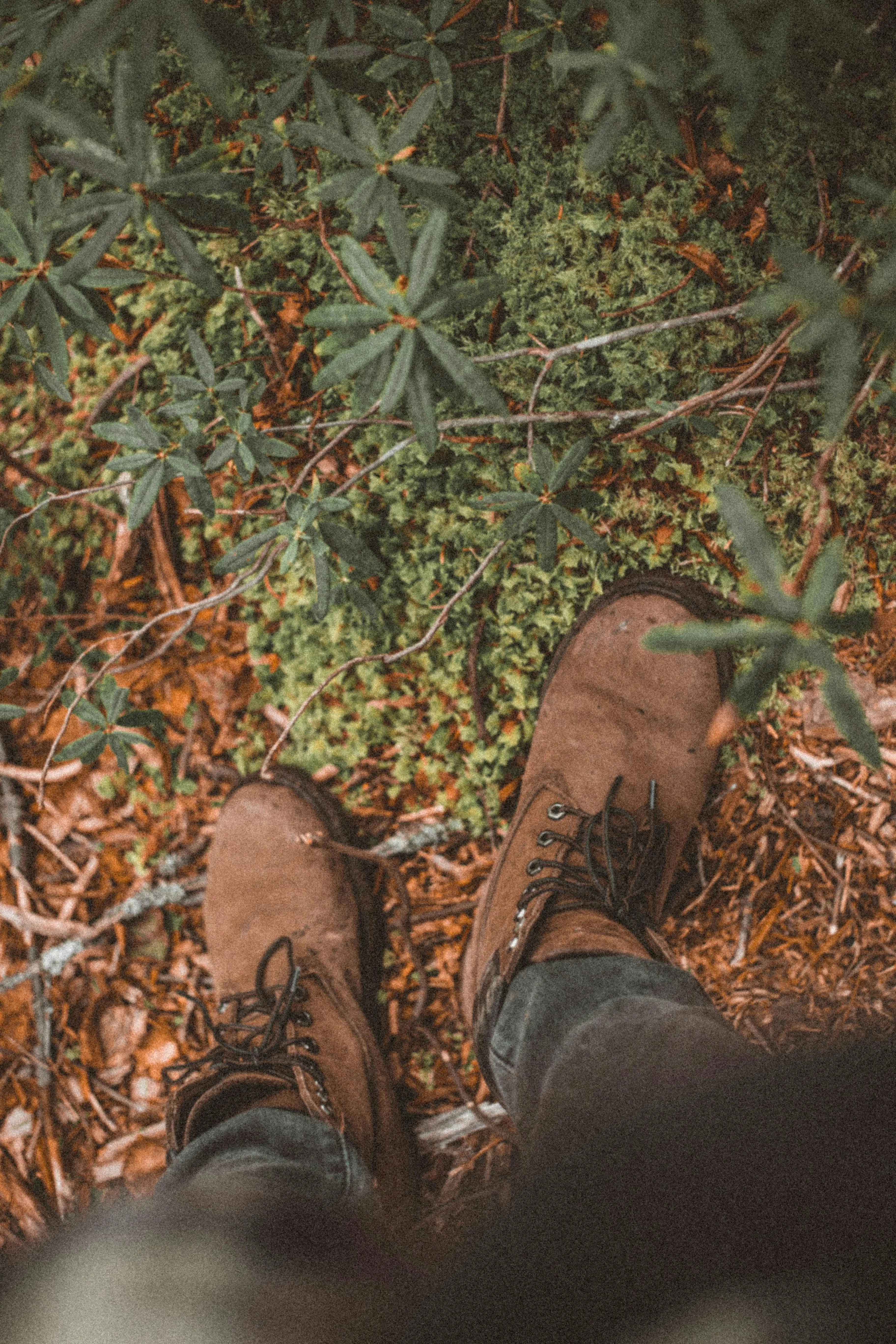 ArtHouse Studio on Pexels