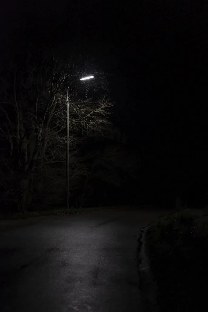 Lasse Møller from Unsplash