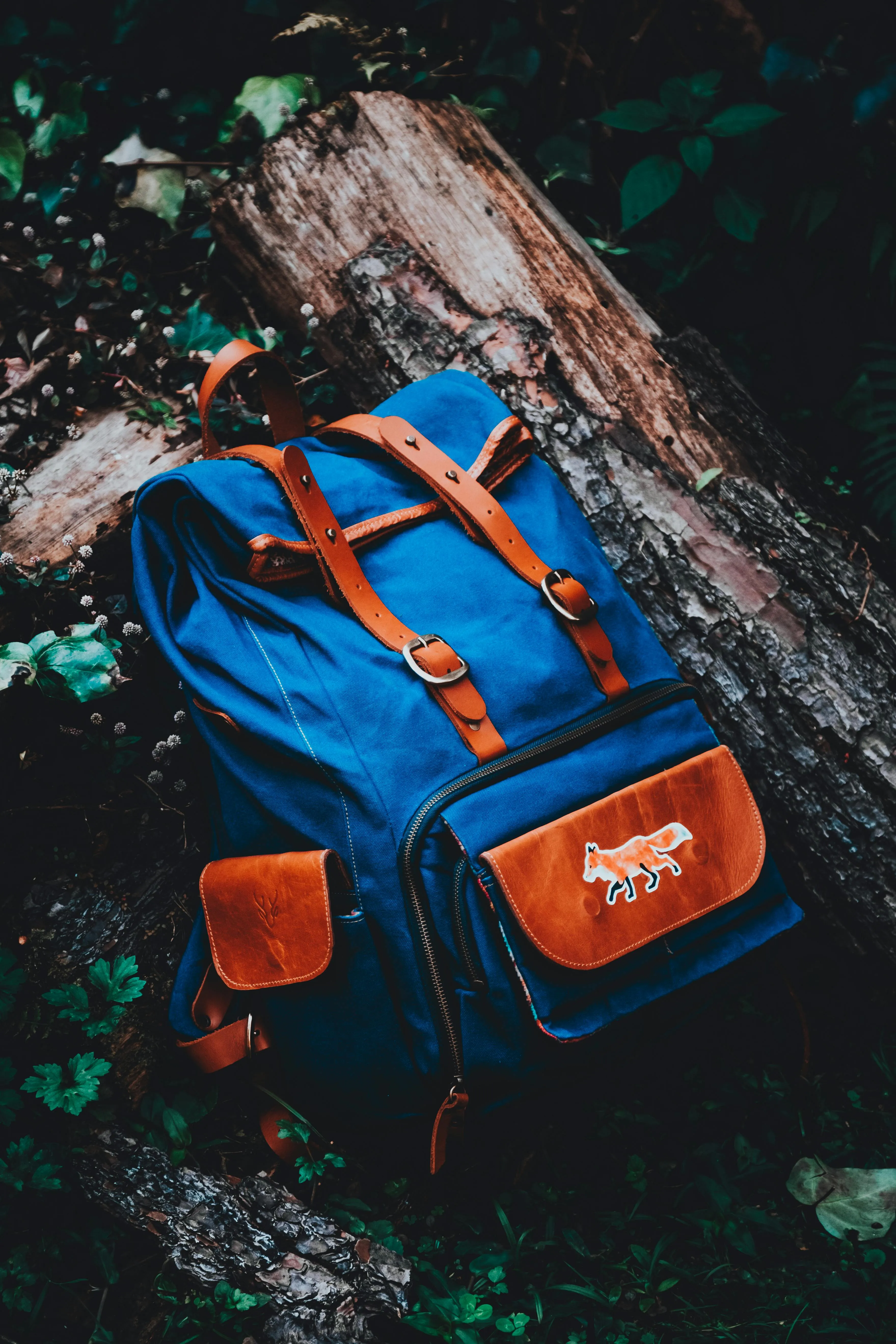 Matheus Bertelli on Pexels 