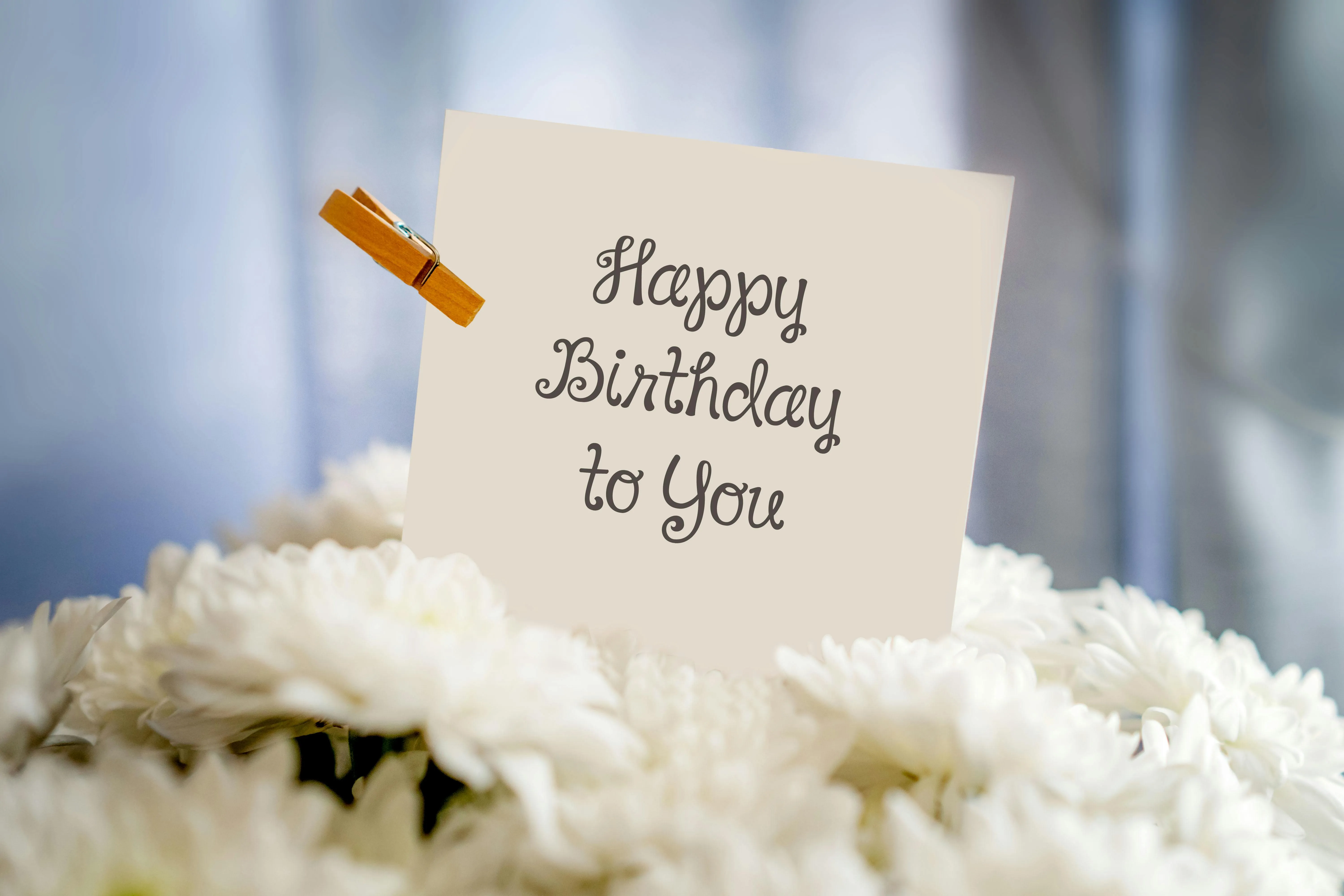 Free Birthday Images on Pexels