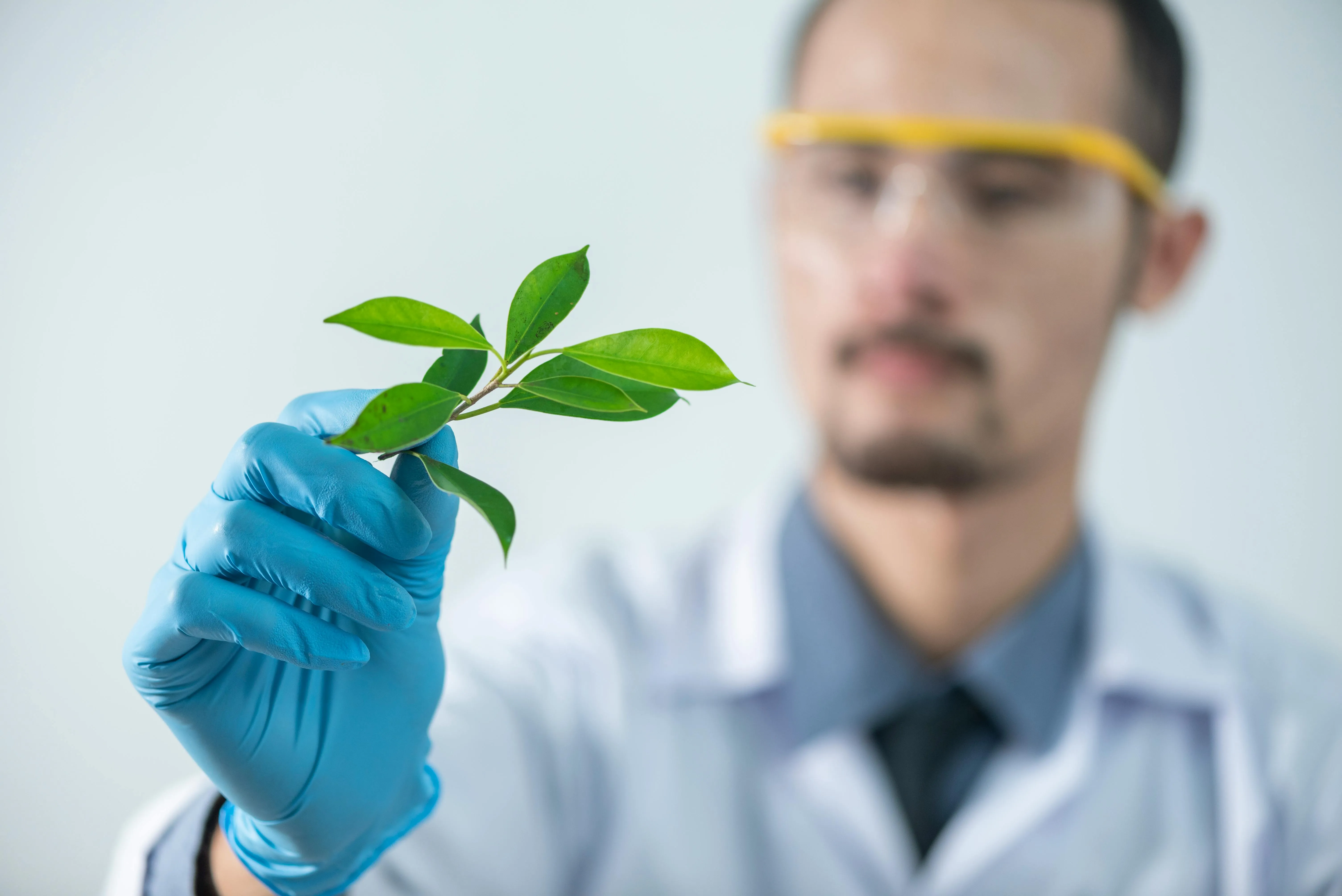 20 Observations That Help Scientists Study Climate History