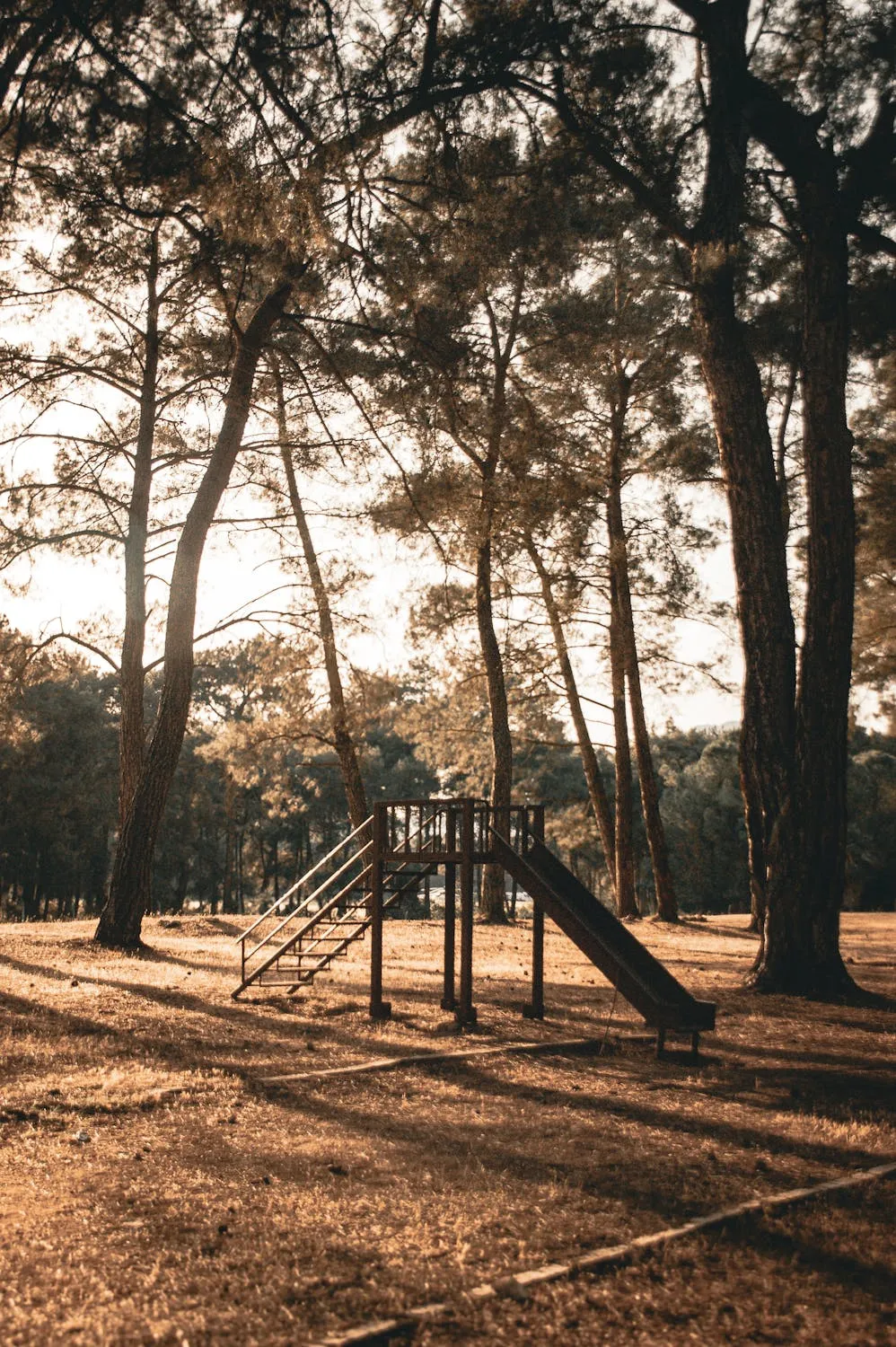Aysegul Aytoren on Pexels