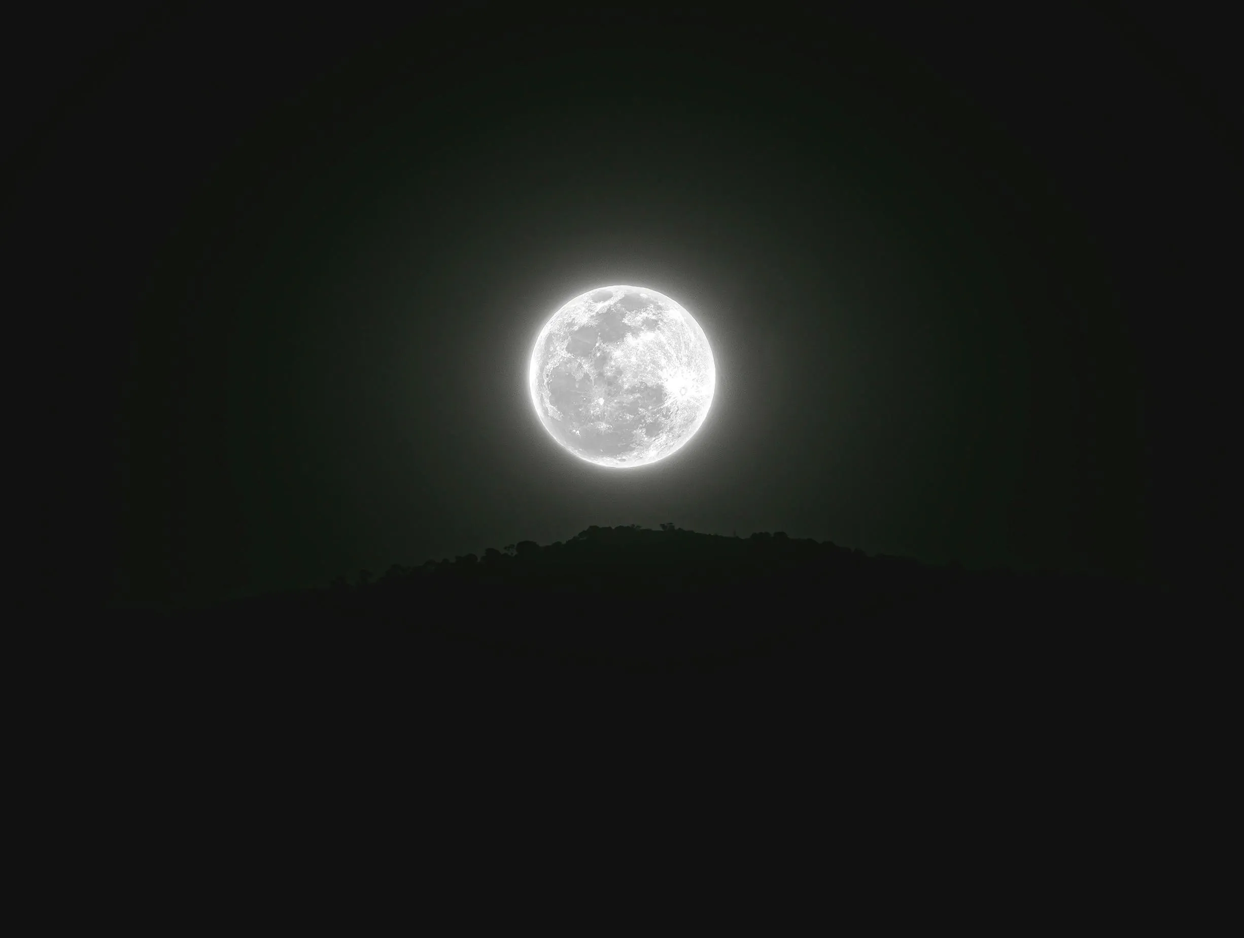 Wulfrano Del Angel on Pexels