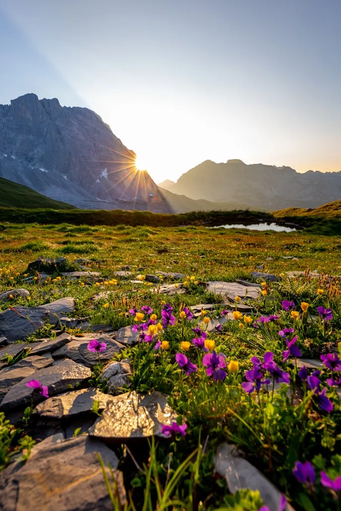 Damian Markutt from Unsplash