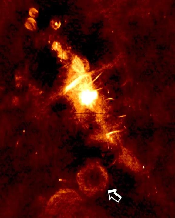Wikimedia Commons