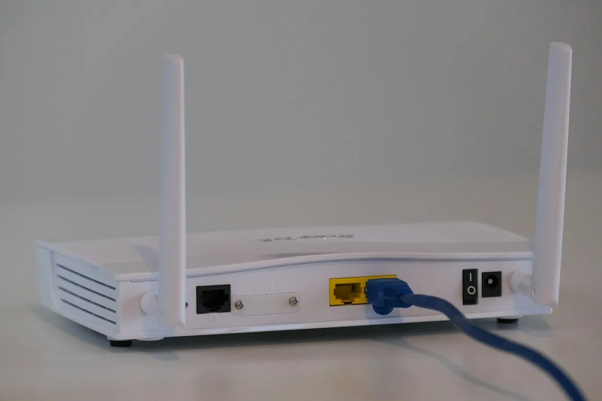 Compare Fibre from Unsplash