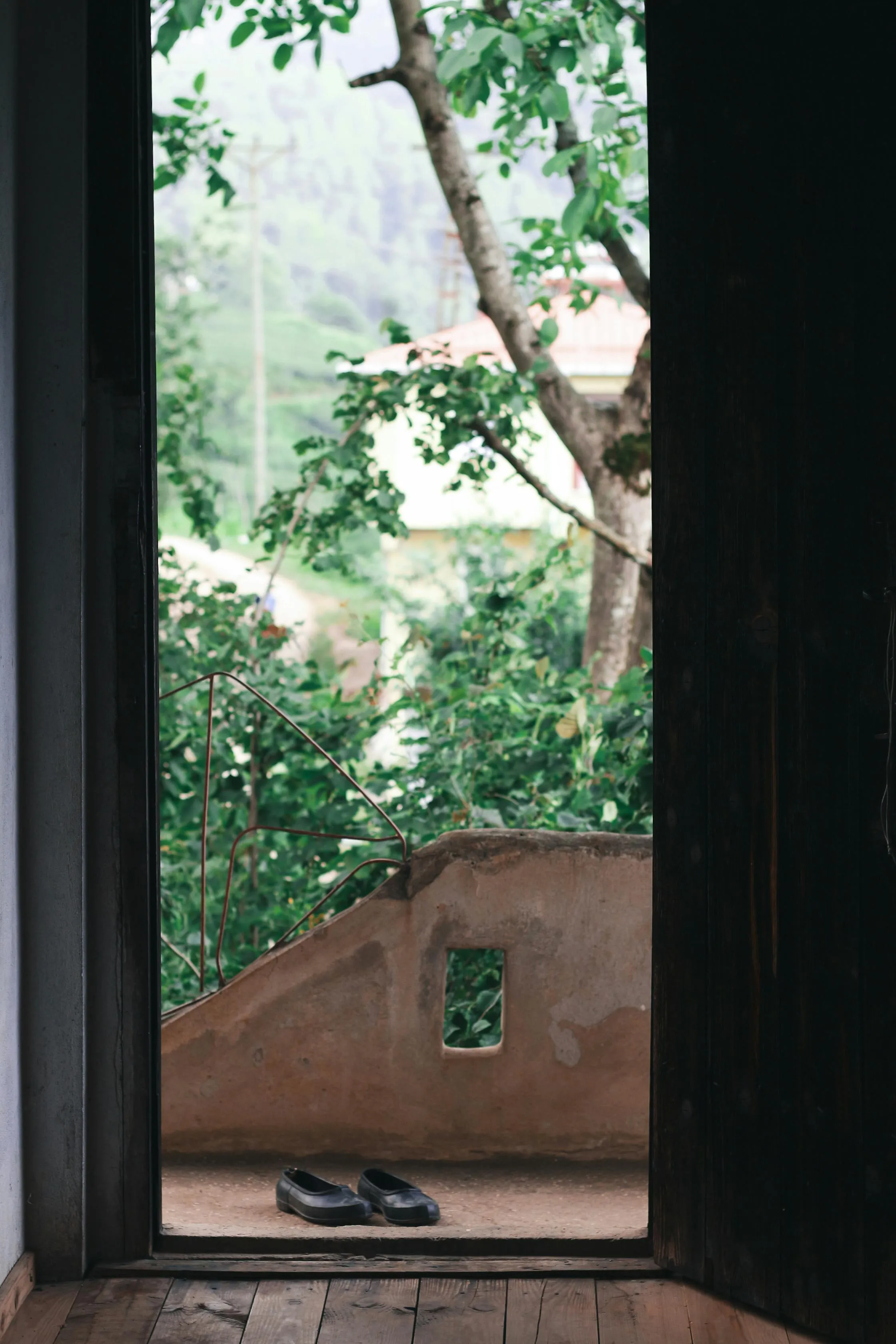Hatice Noğman on Pexels