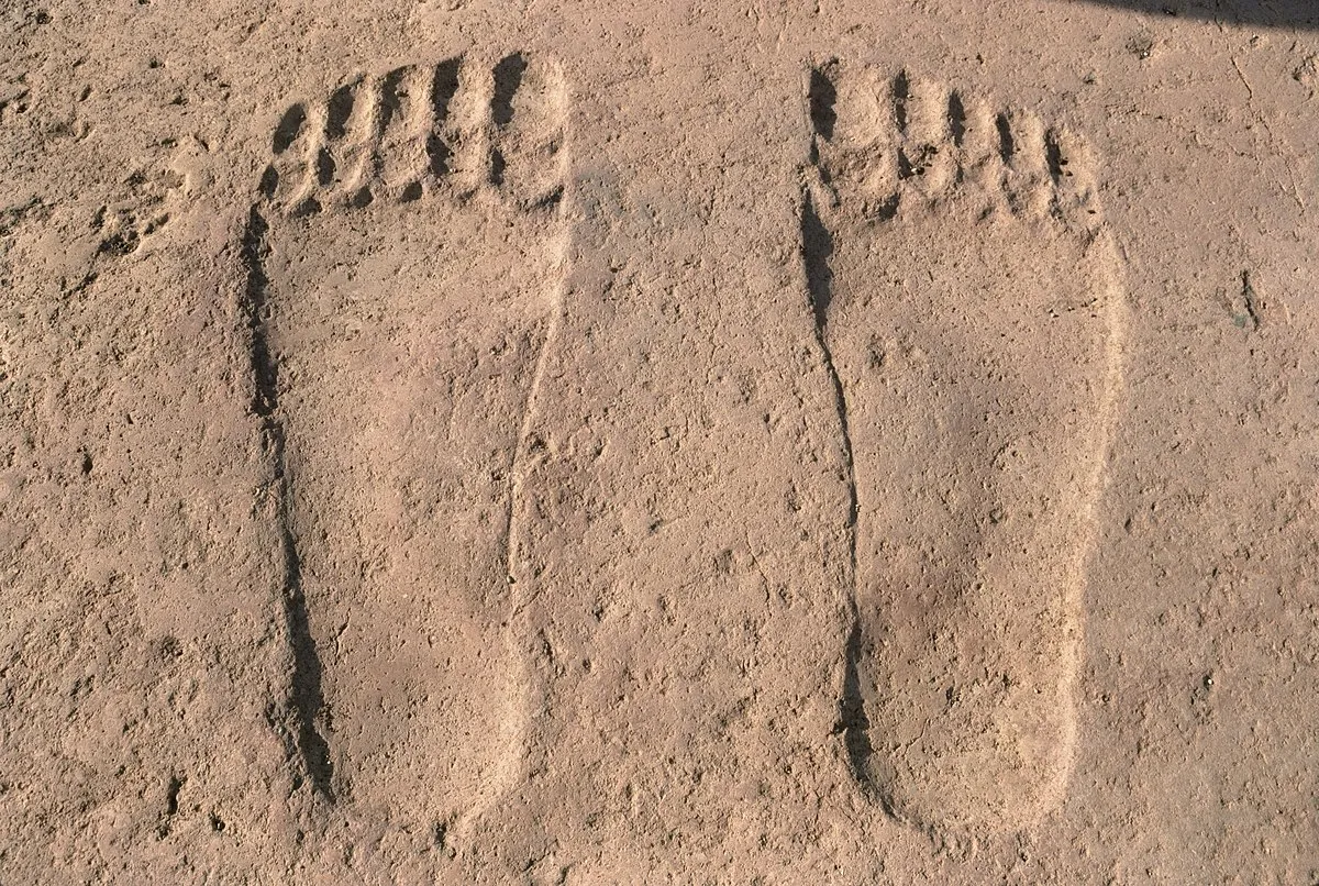 Frank Kidner on Wikimedia Commons