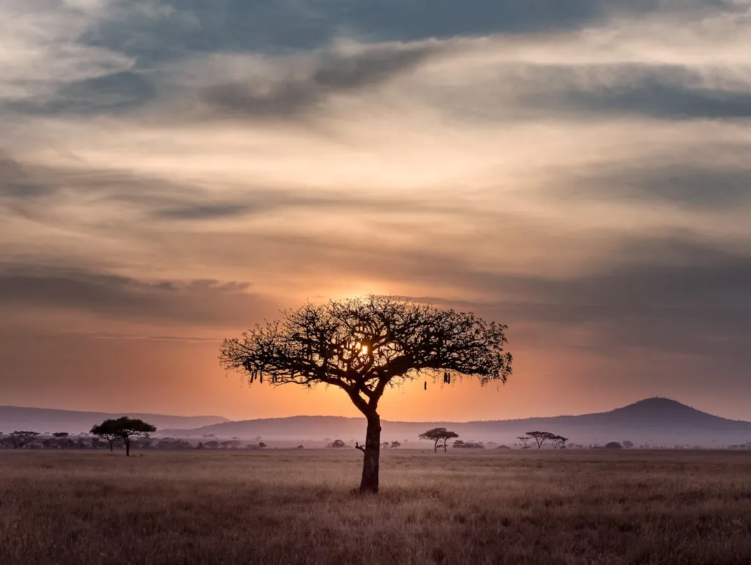 Hu Chen from Unsplash