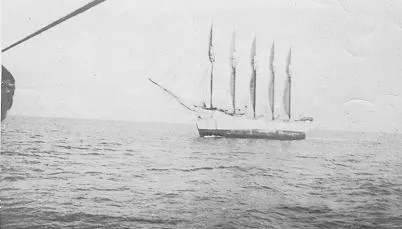 Image from Wikipedia