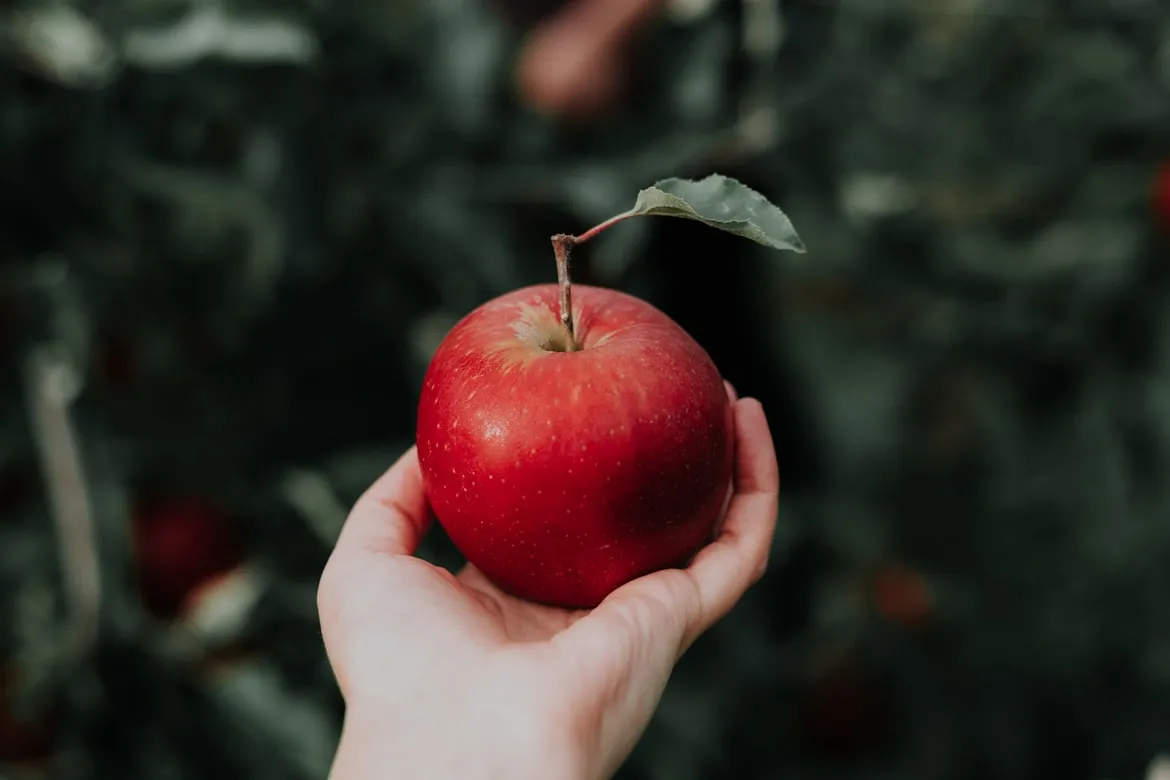  Priscilla Du Preez from Unsplash