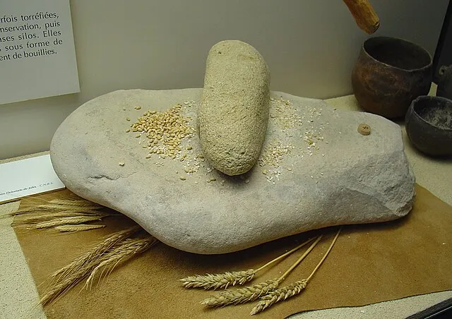 Yelkrokoyade on Wikimedia Commons