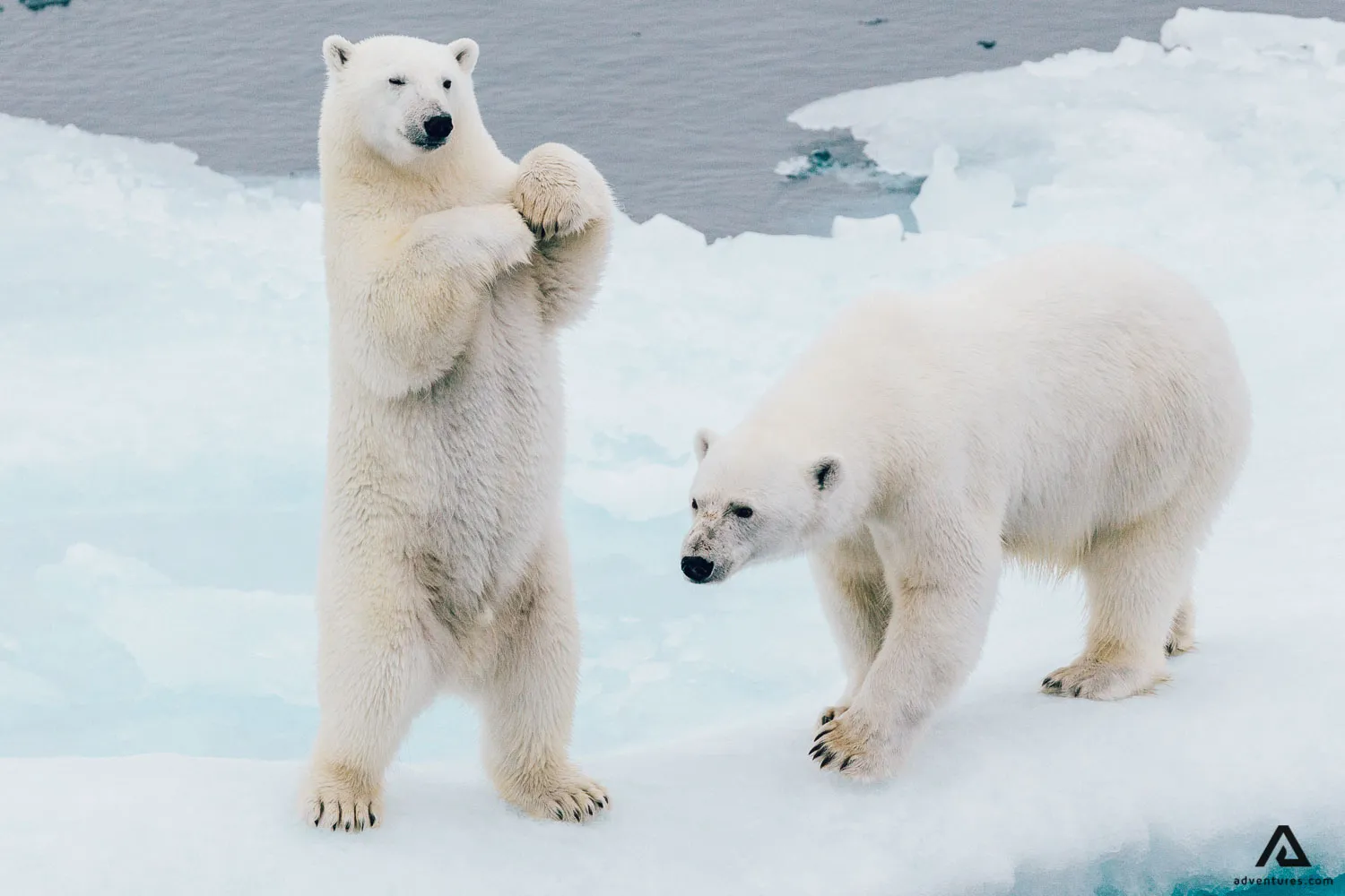 Image from Adventures.com