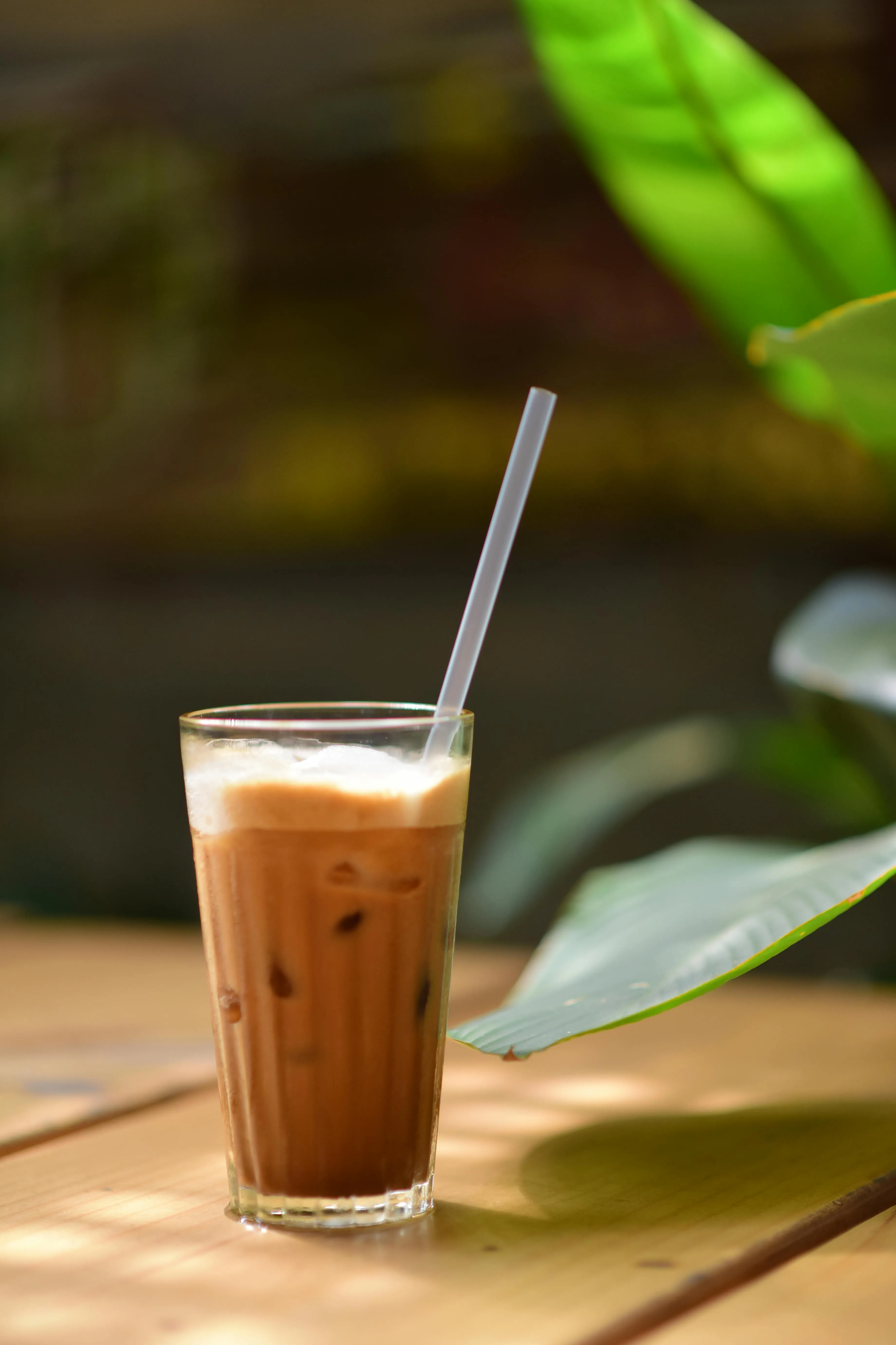 Sóc Năng Động on pexels