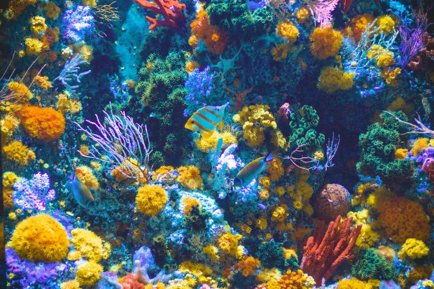 Shaun Low on Unsplash