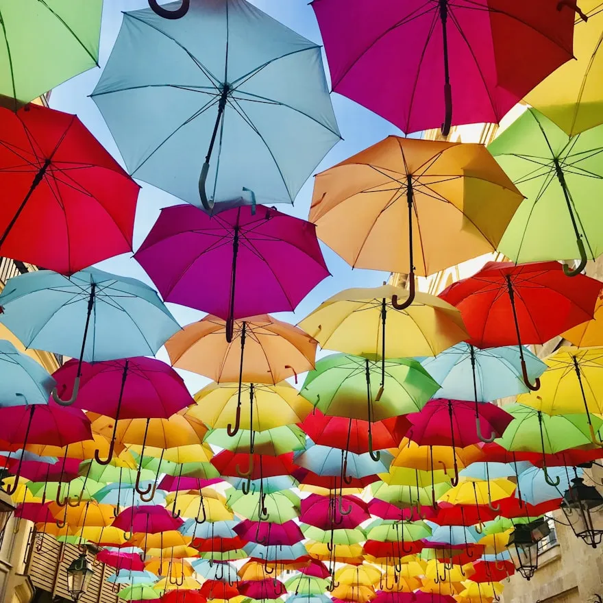 judith girard-marczak from Unsplash