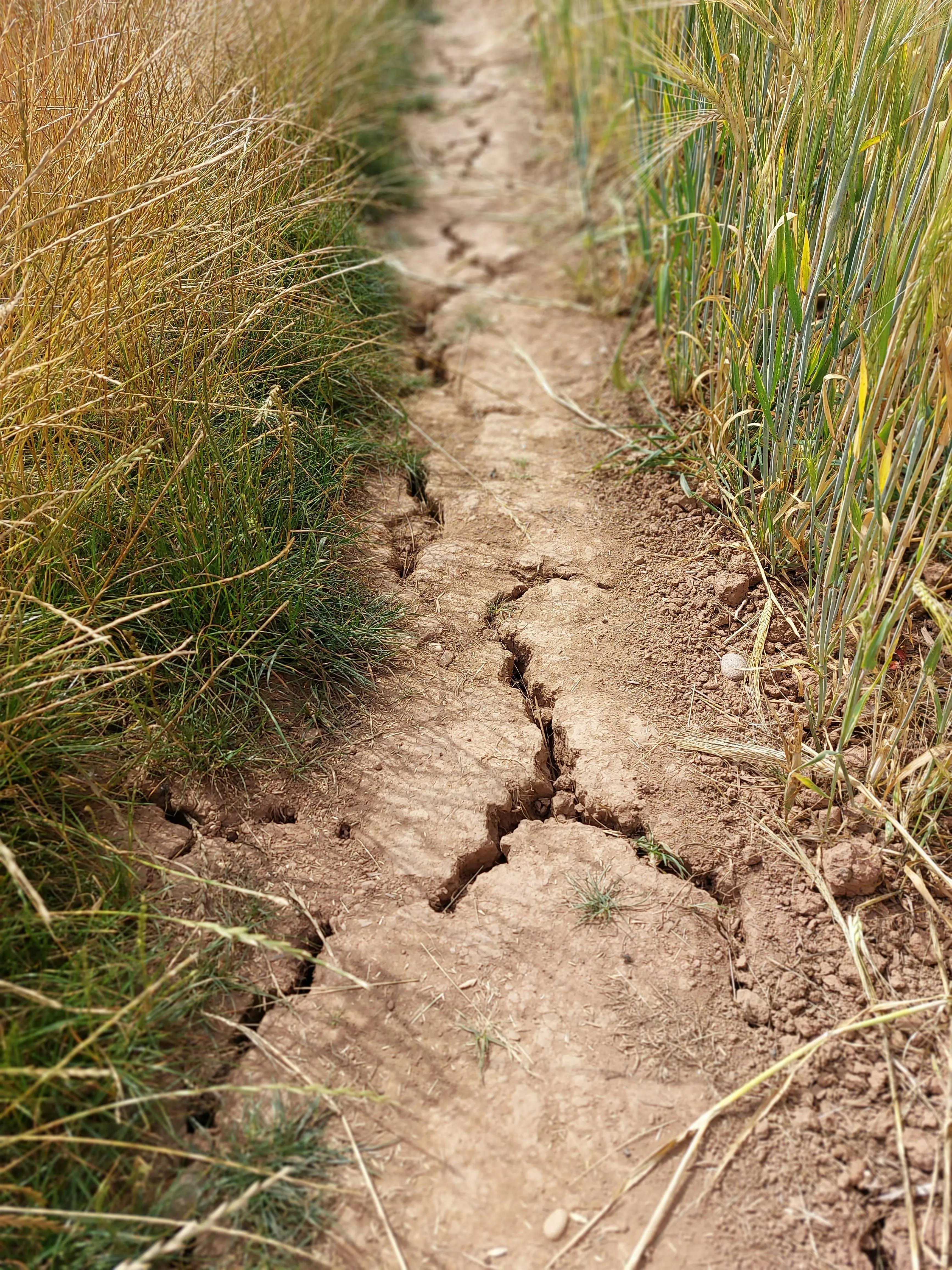 Katy R Mahoney on pexels