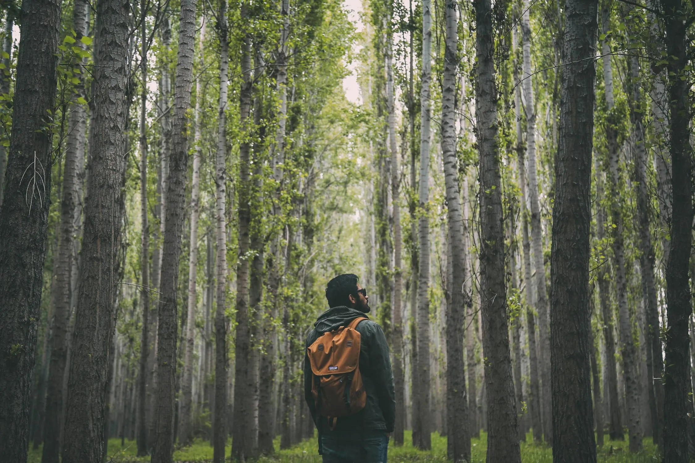 Oziel Gómez on Pexels