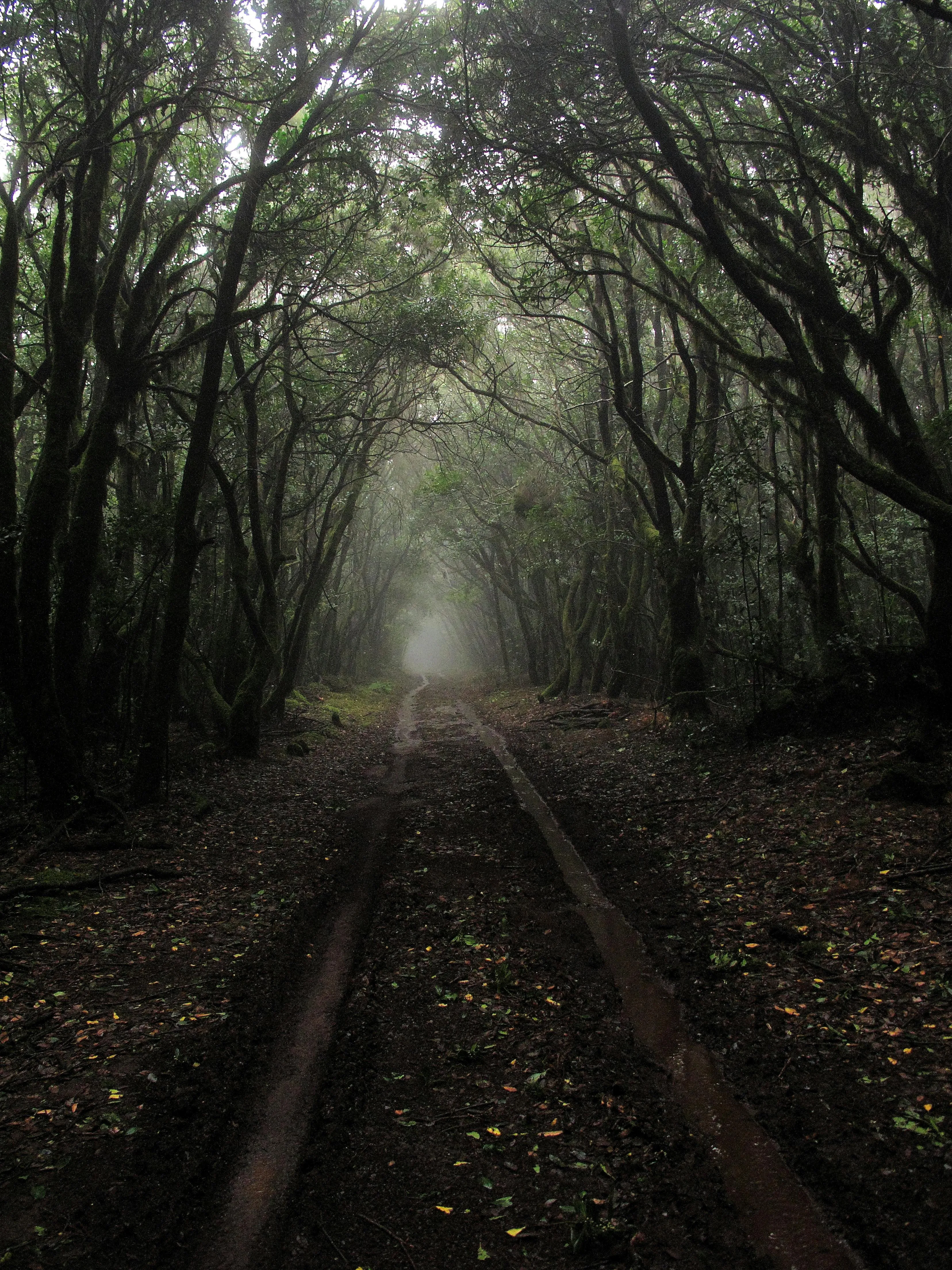 Francesco Ungaro on Pexels