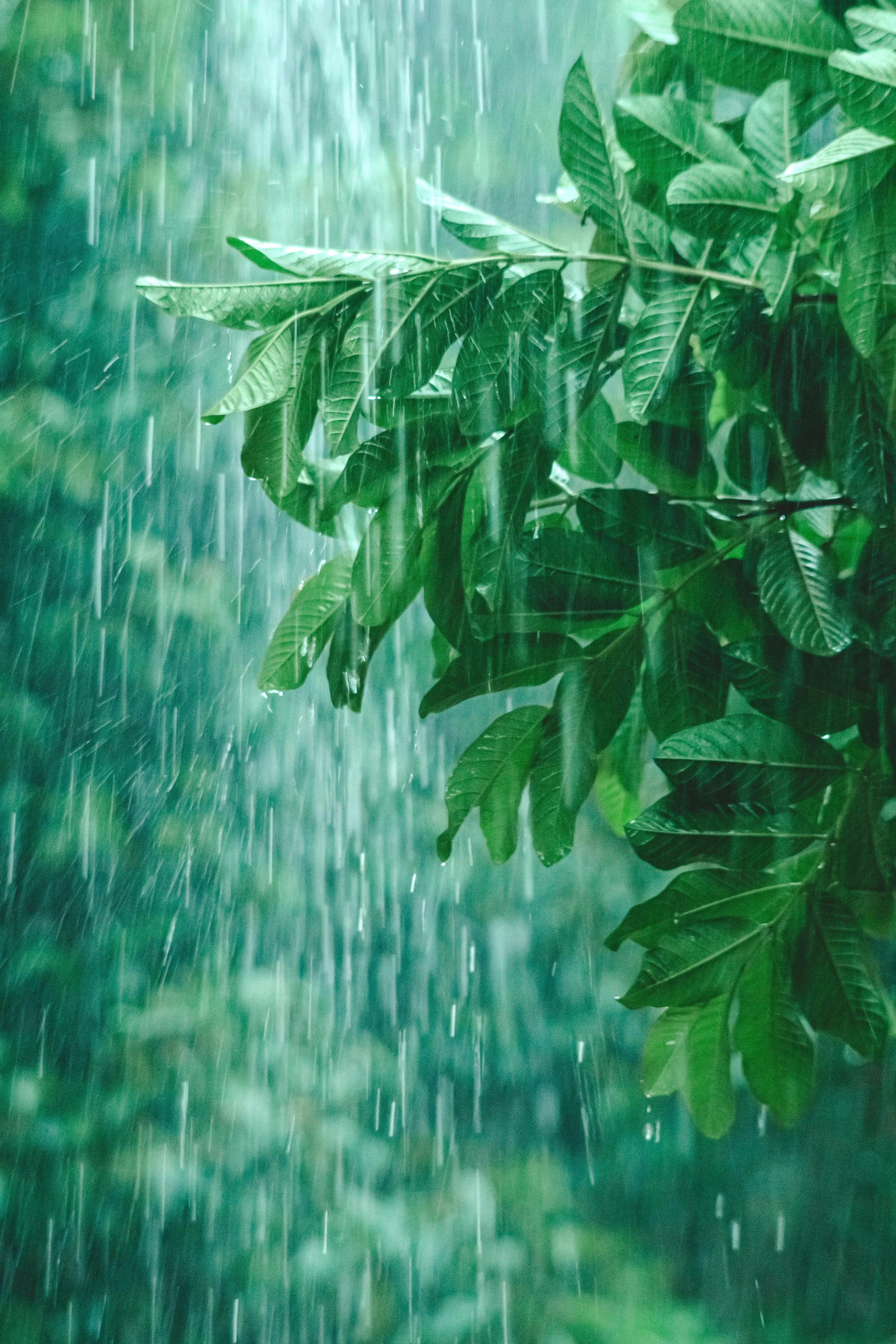 Lê Đức Khánh on pexels