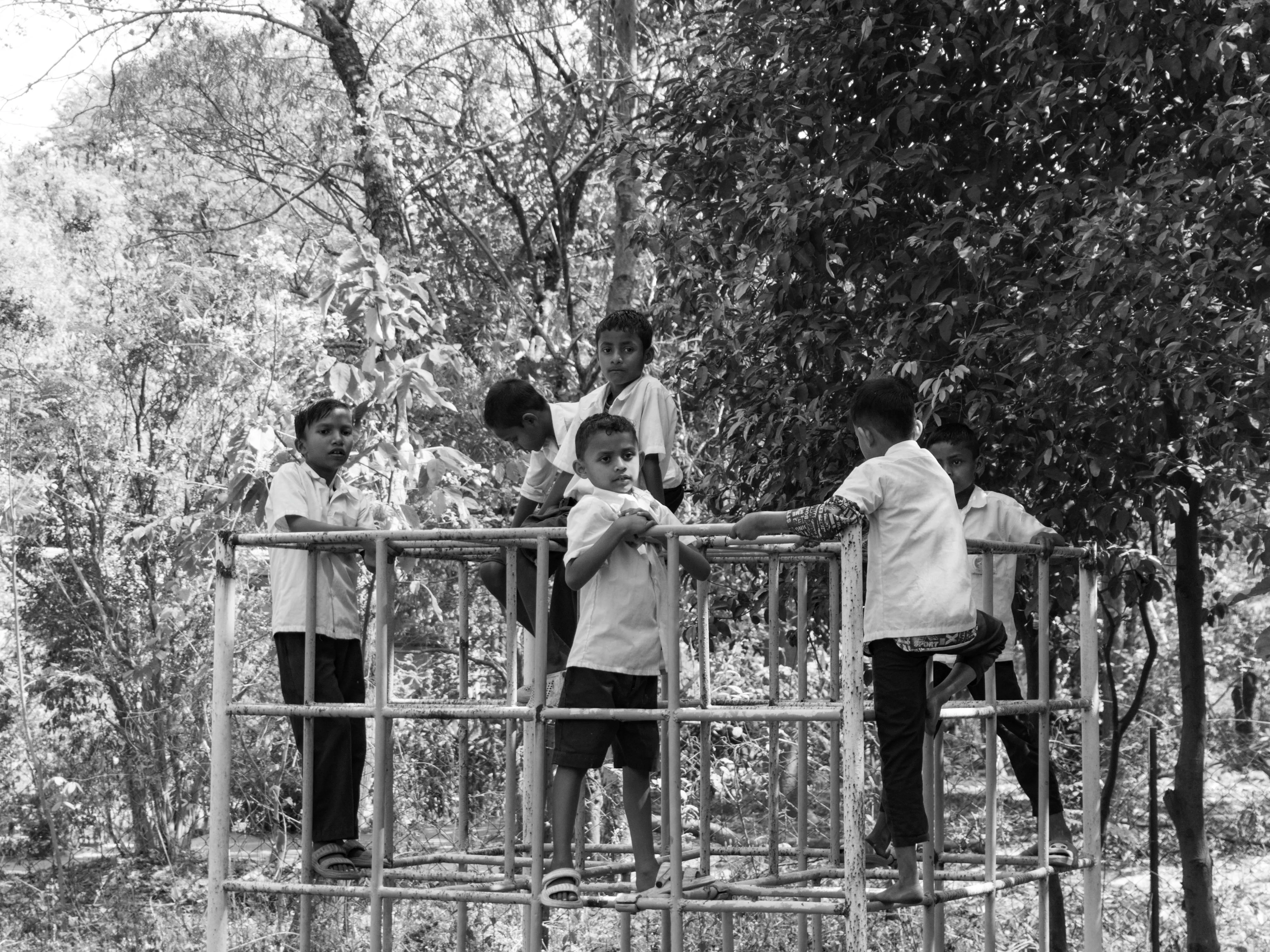 Srijit Mudi on Pexels