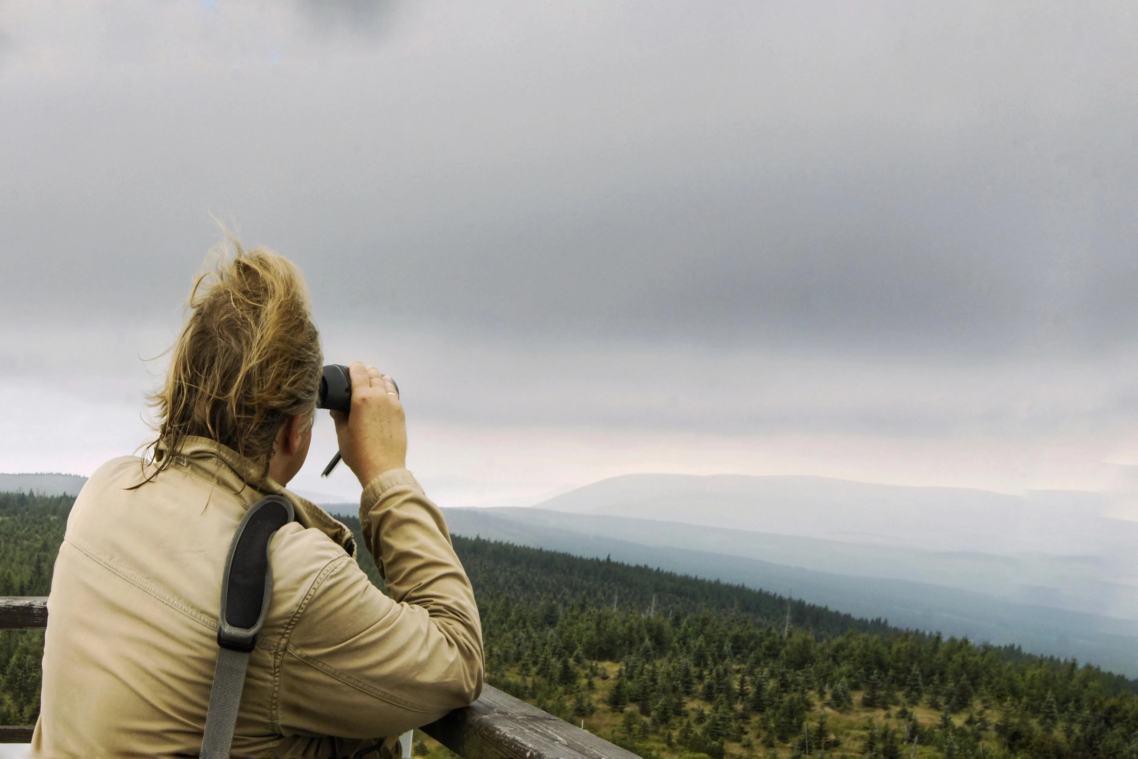 Ryszard Zaleski on Pexels