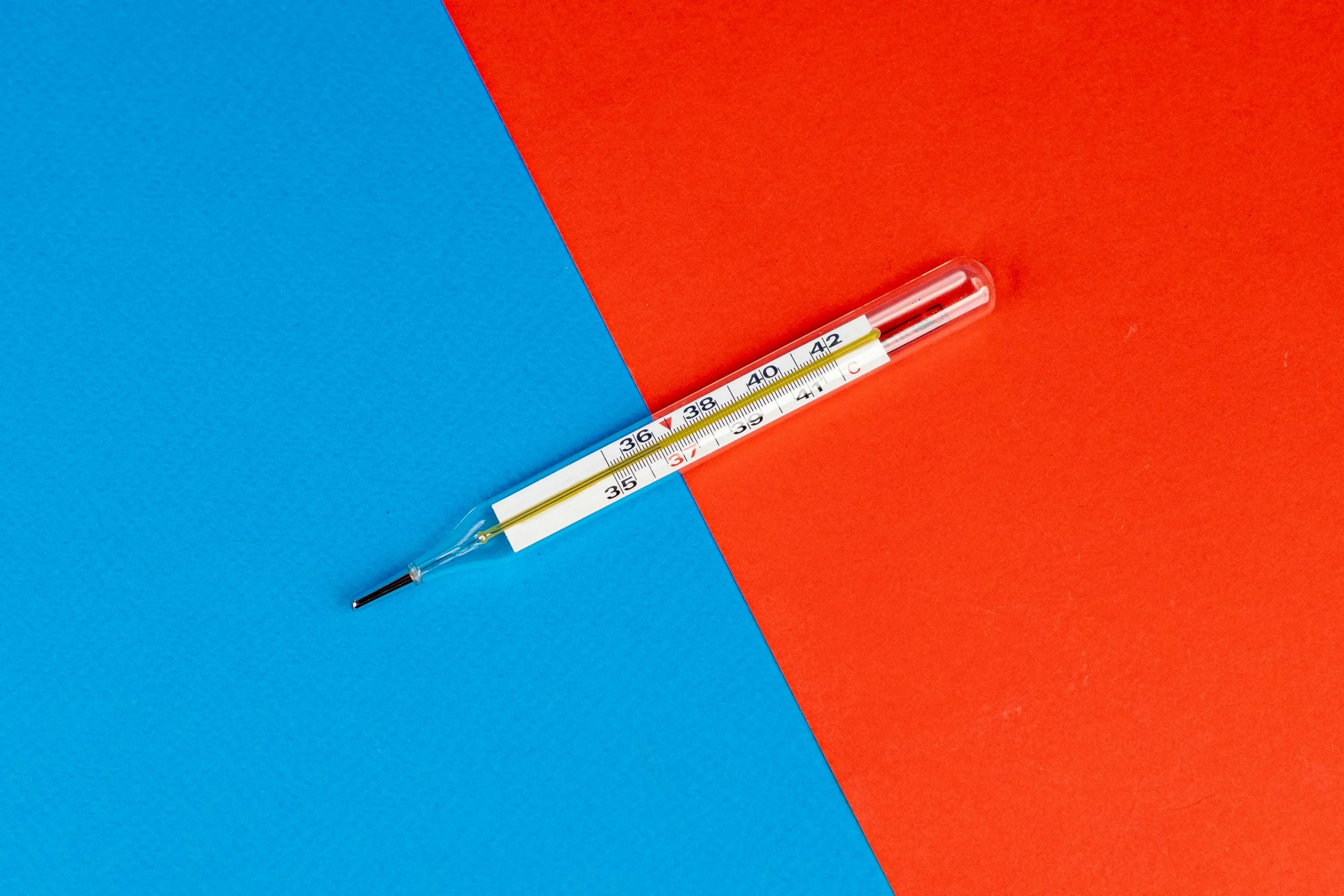 Maksim Goncharenok on Pexels