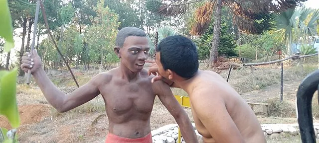 Cactus0625 on Wikimedia Commons