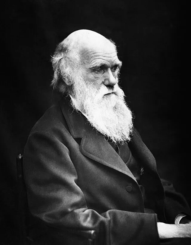 Julia Margaret Cameron on wikimedia