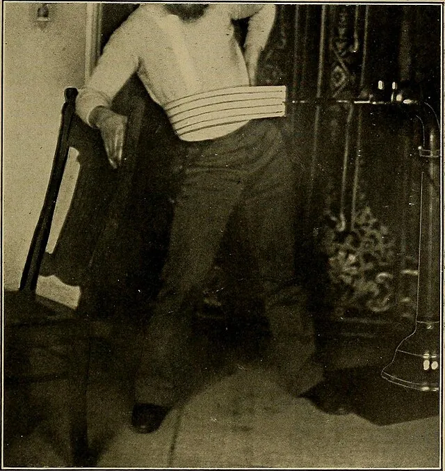 Internet Archive Book Images on Wikimedia Commons 