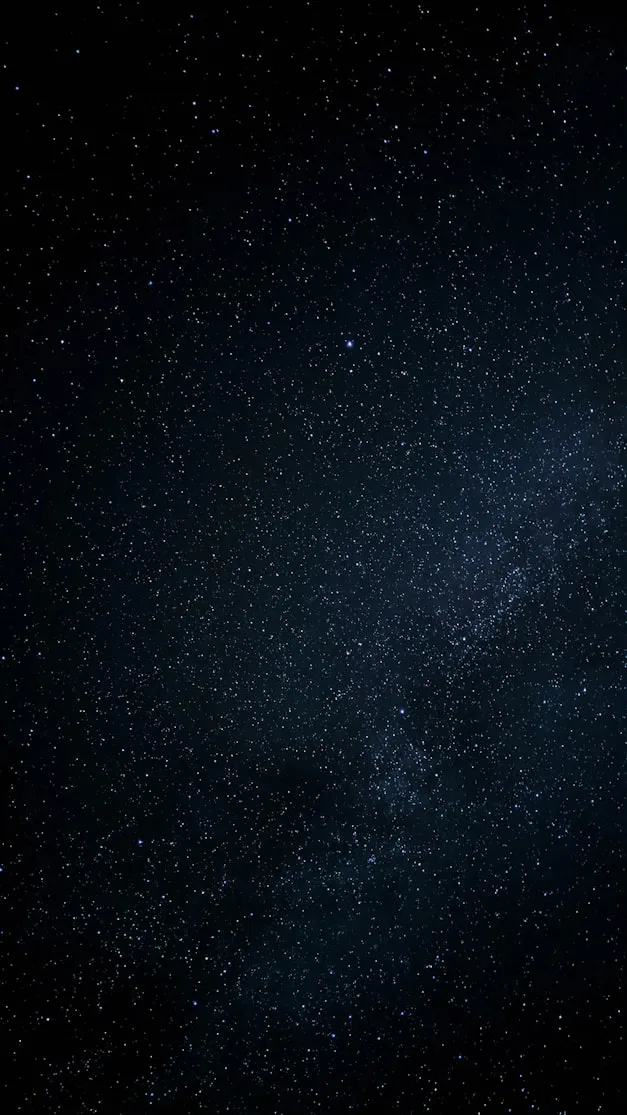 Olena Bohovyk from Unsplash