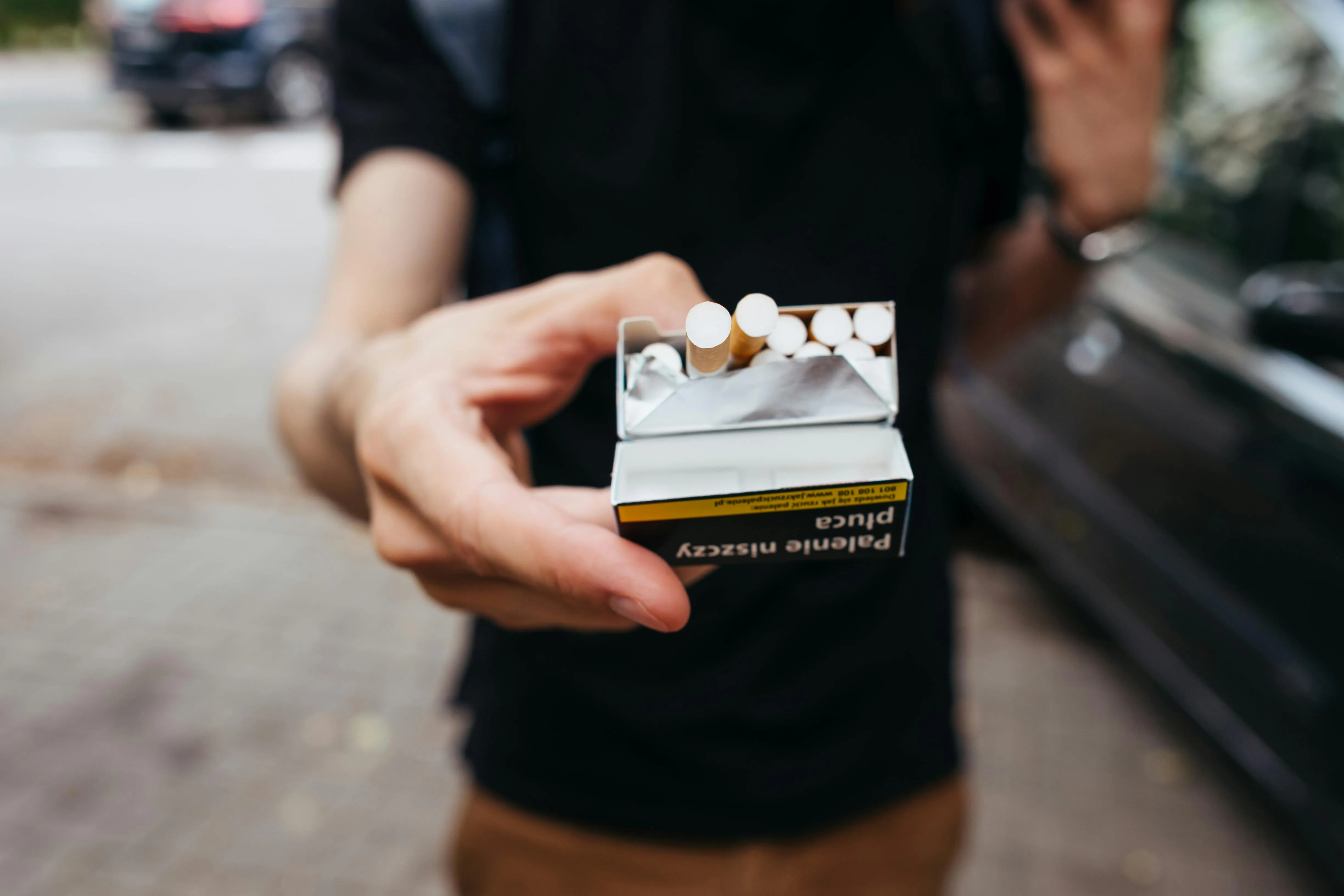 freestocks.org on Pexels