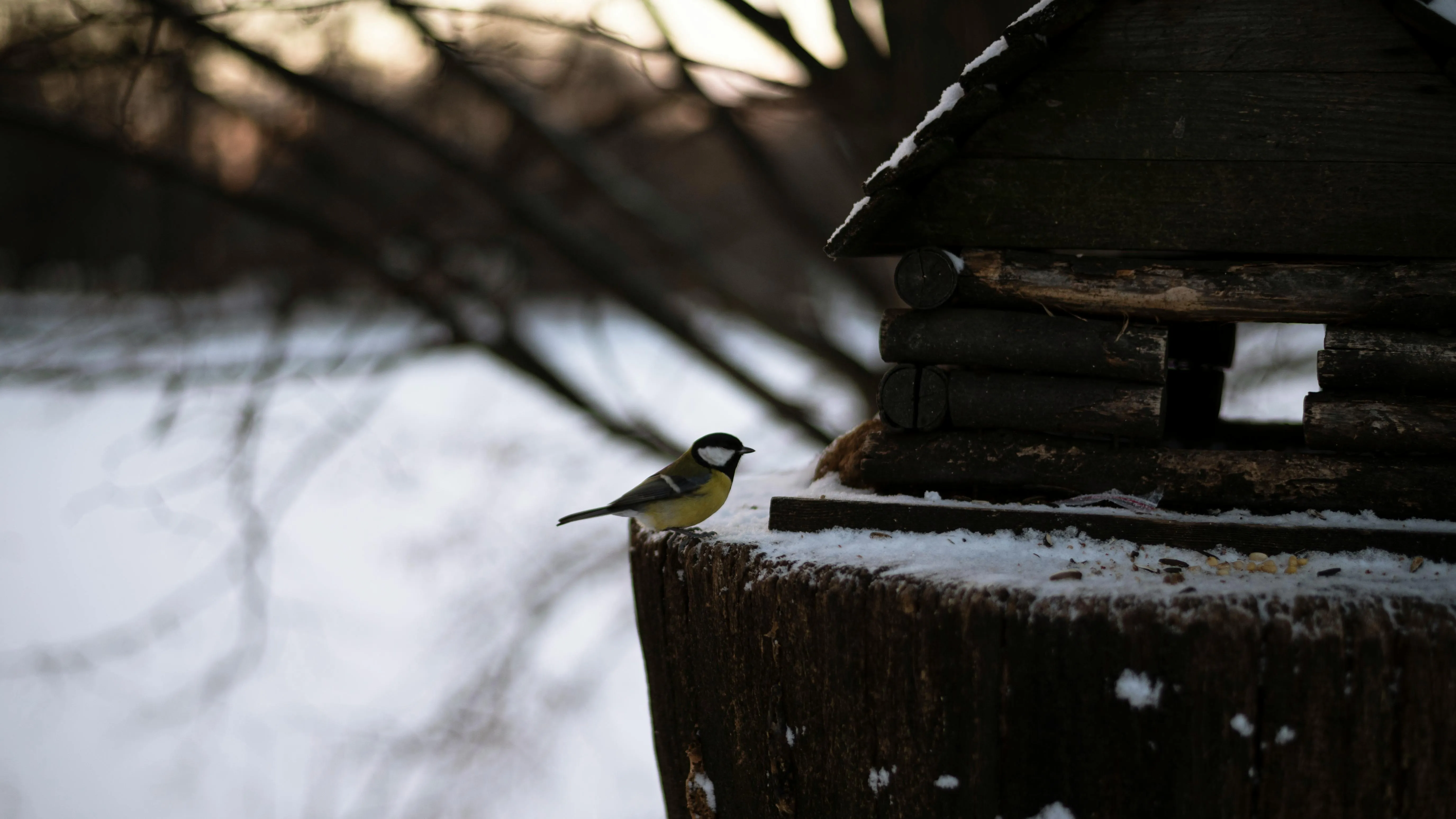 Vitali Adutskevich on Pexels