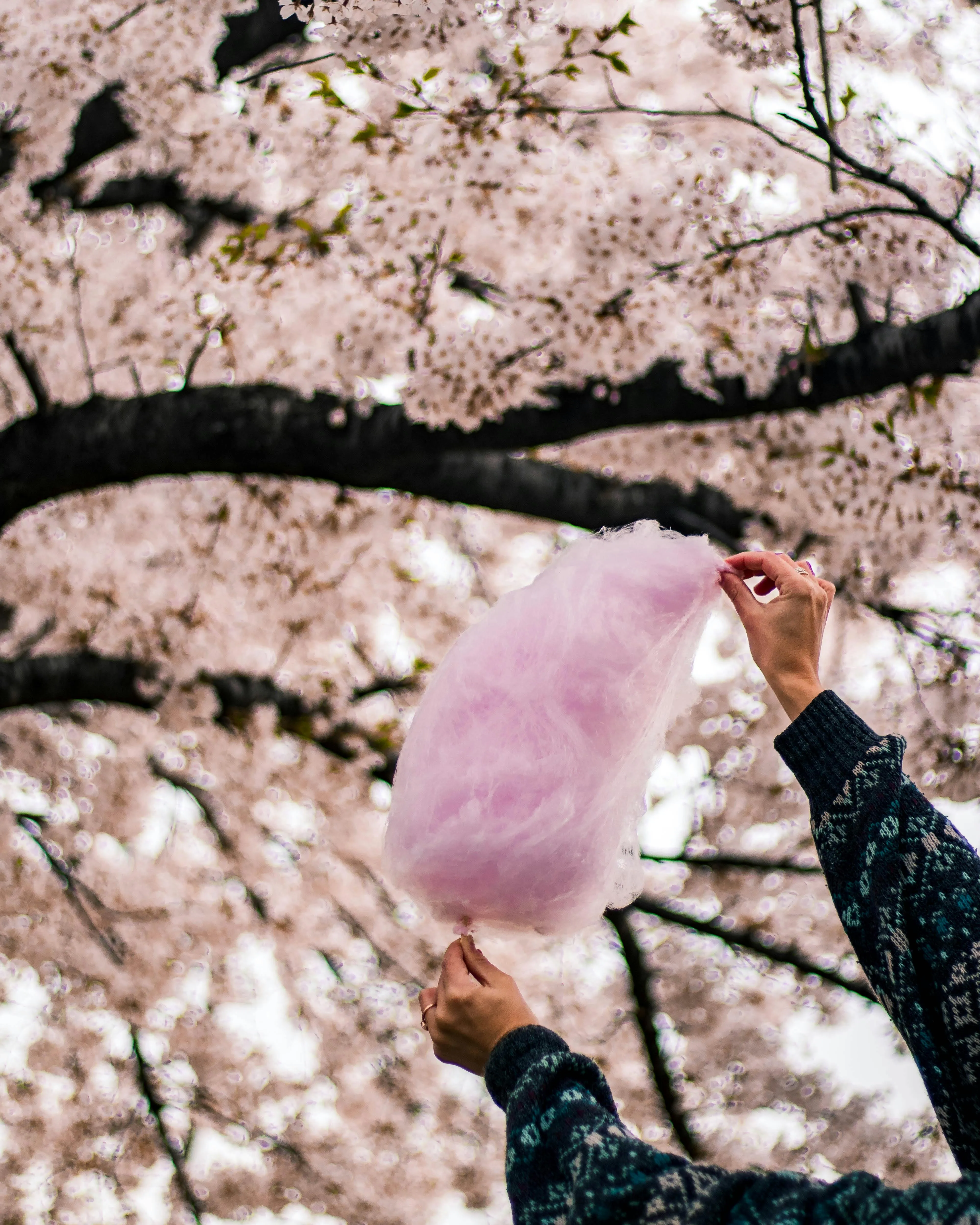 Taryn Elliott on pexels