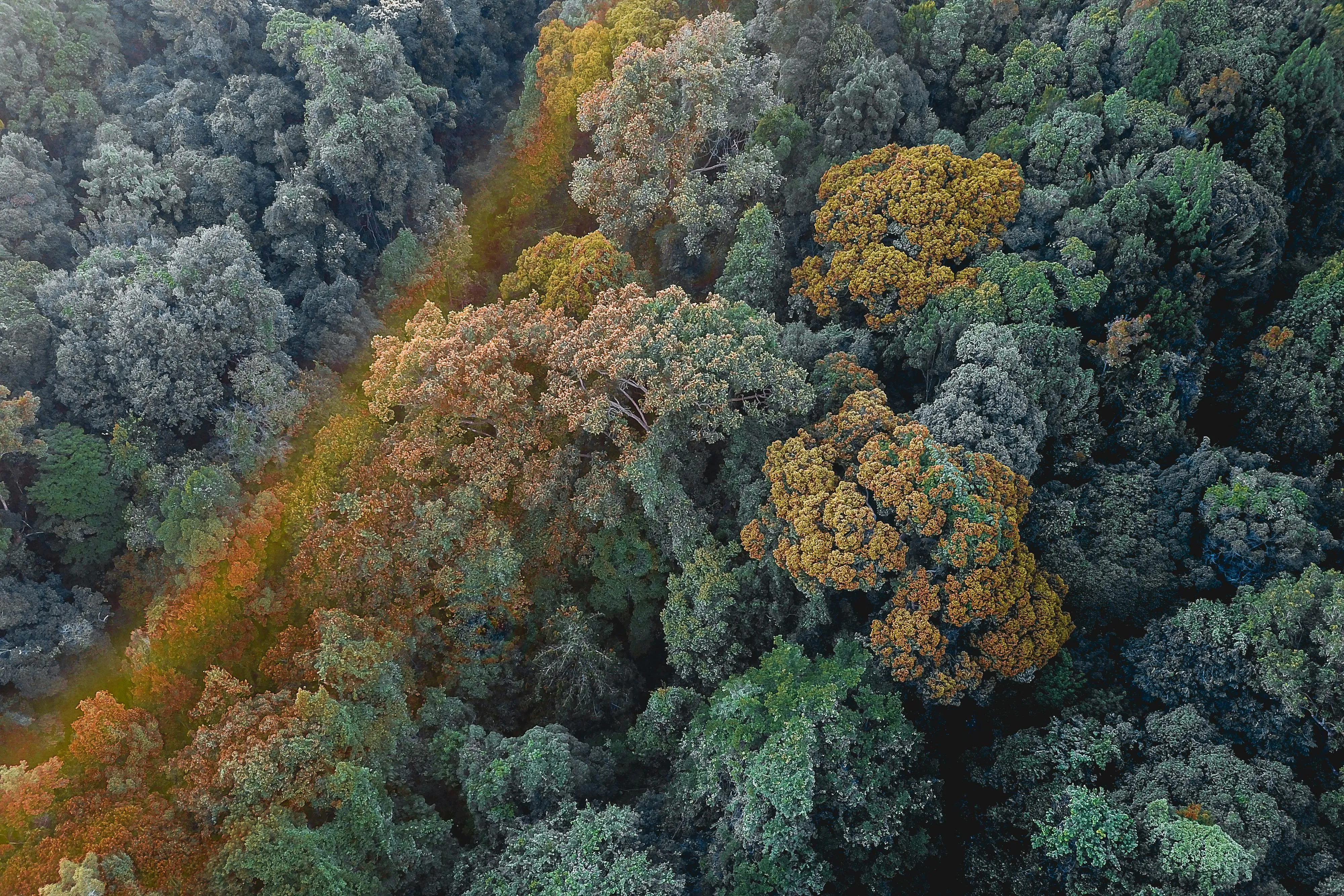 10 Biological Traits Found Across Multiple Species