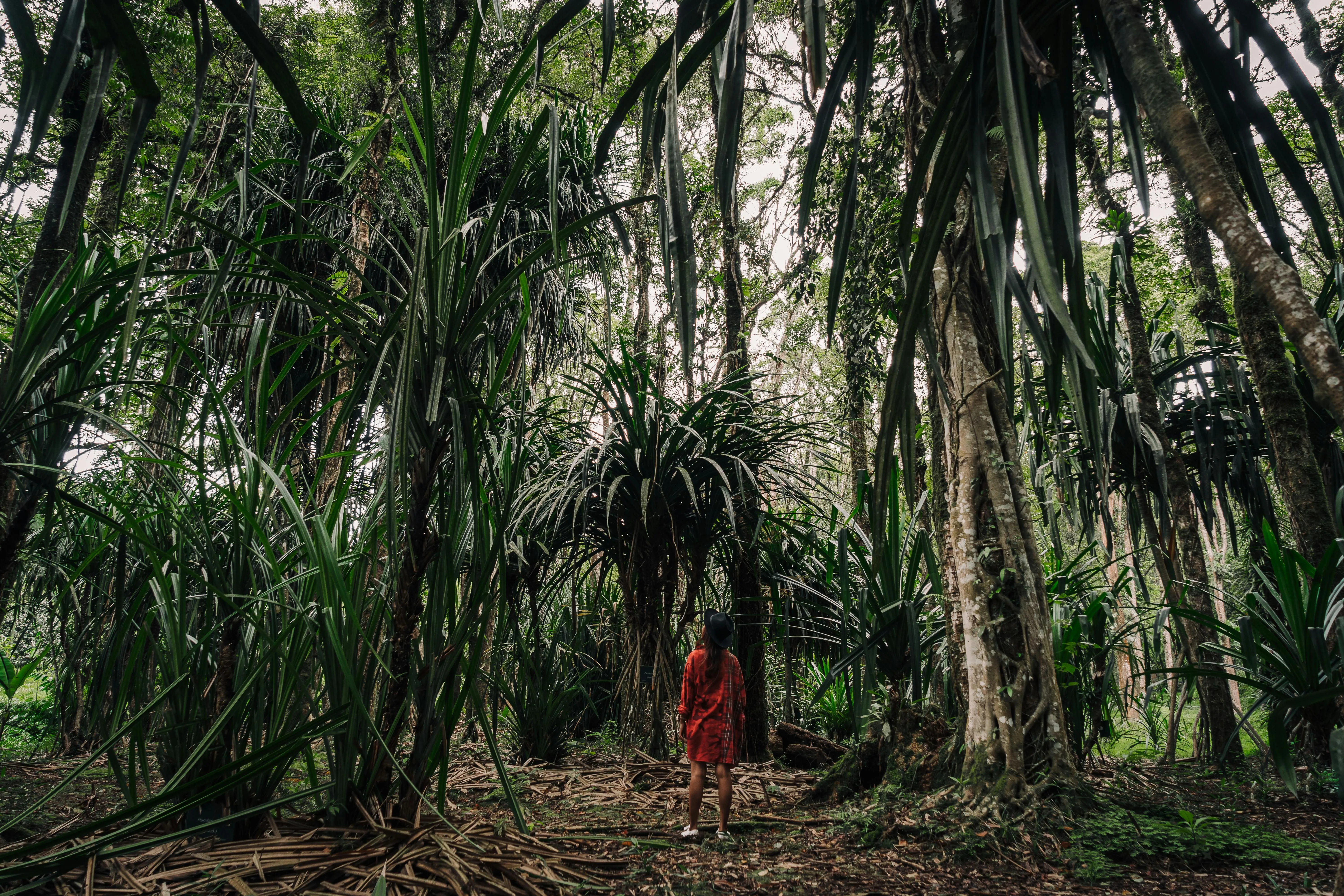 15 Traits Observed in Isolated Human Populations