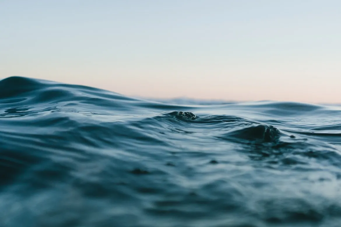Matt Hardy from Unsplash