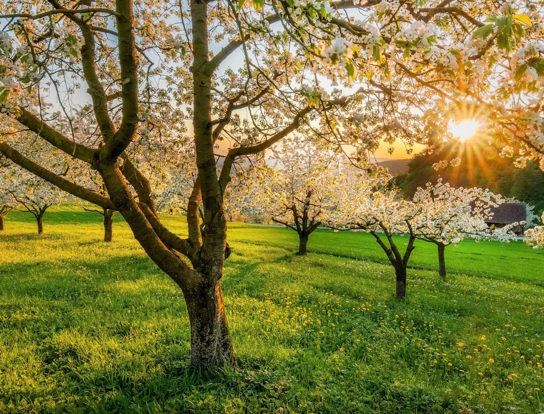 20 Everyday Activities That Felt Better in Spring