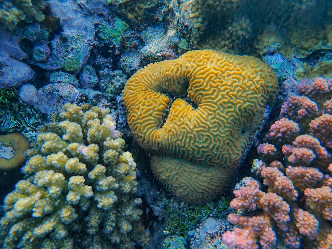 Francesco Ungaro on Unsplash