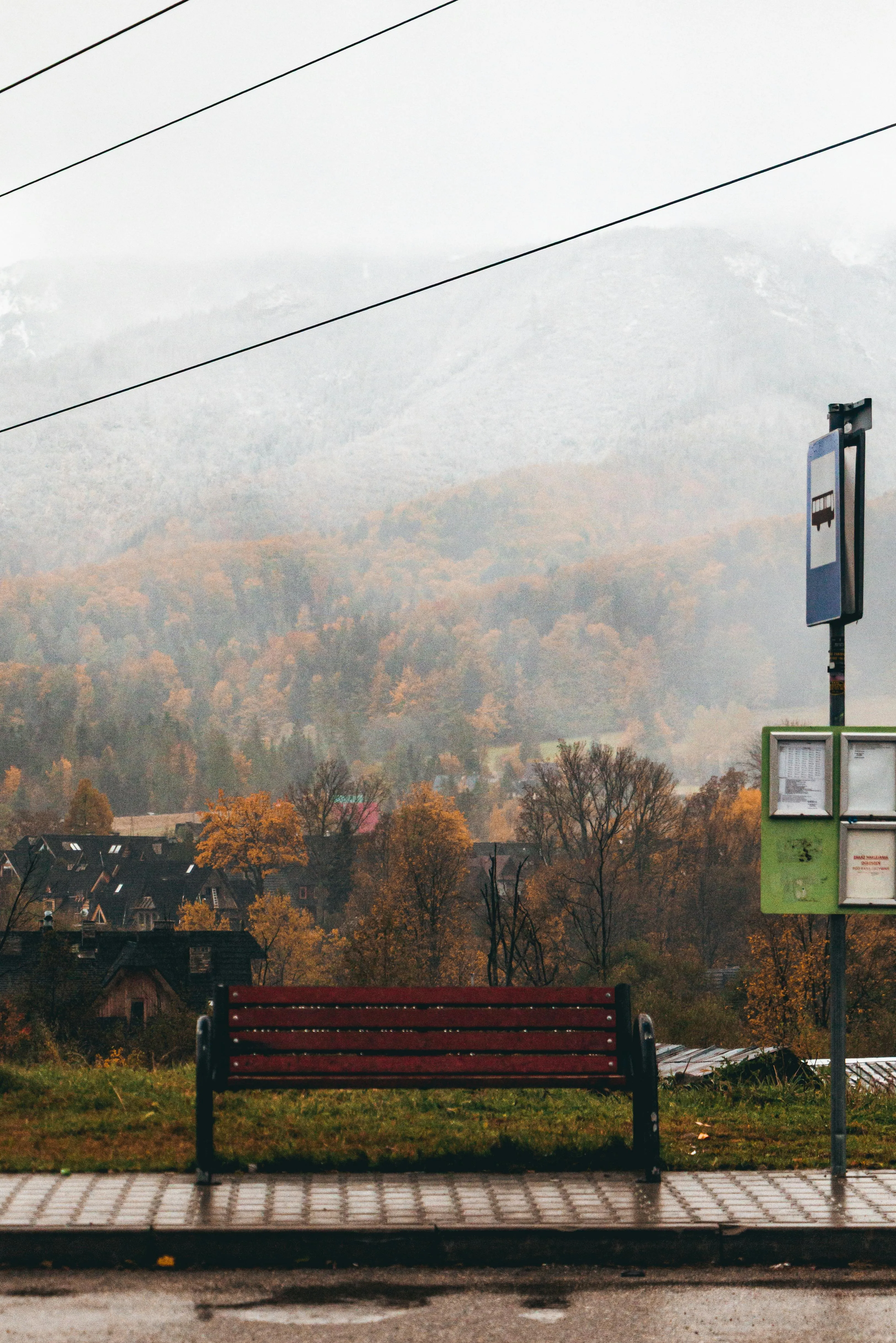 Polina Lisova on pexels