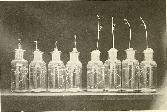 Internet Archive Book Images on Wikimedia Commons