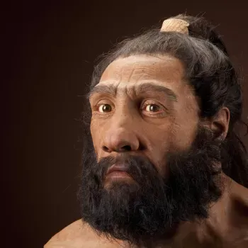 Image from The Smithsonian's Human Origins Program