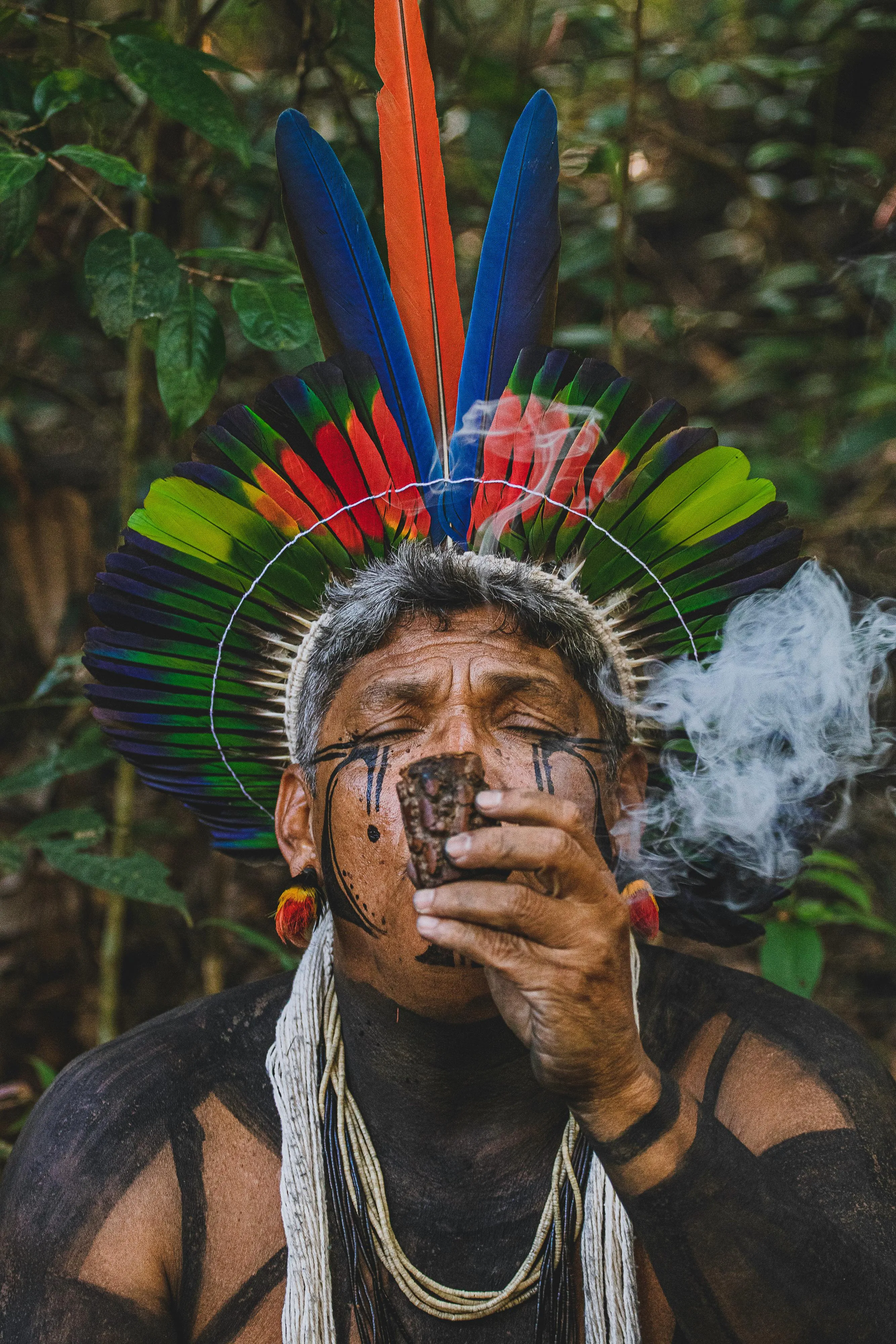 Matheus Alves on pexels